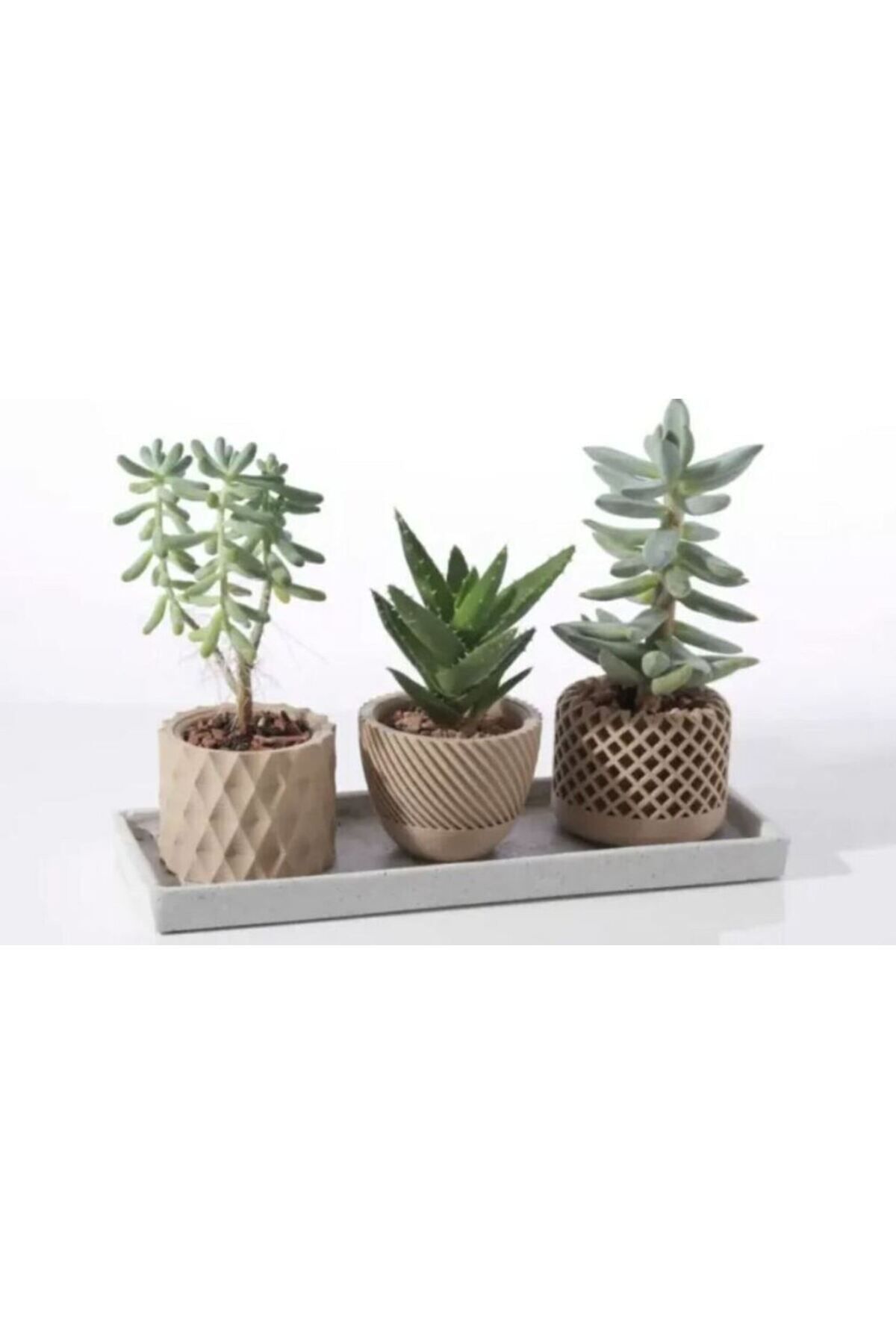 Vaykast Modern Spiral Dekoratif Saksılar