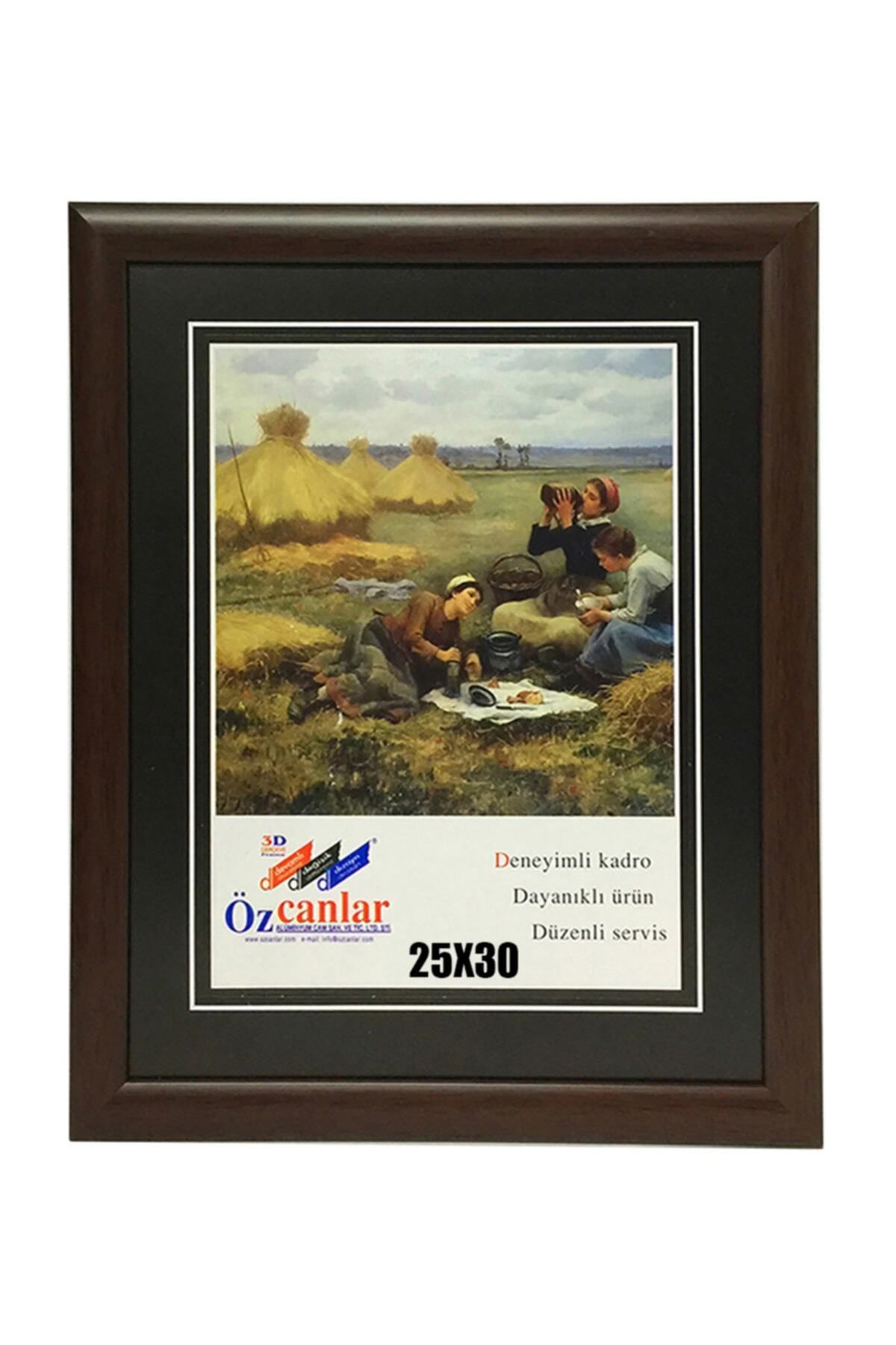 Elioure Kişiye Özel Ev ve Ofis İçin 25x30 Resim Çerçevesi Hediyelik