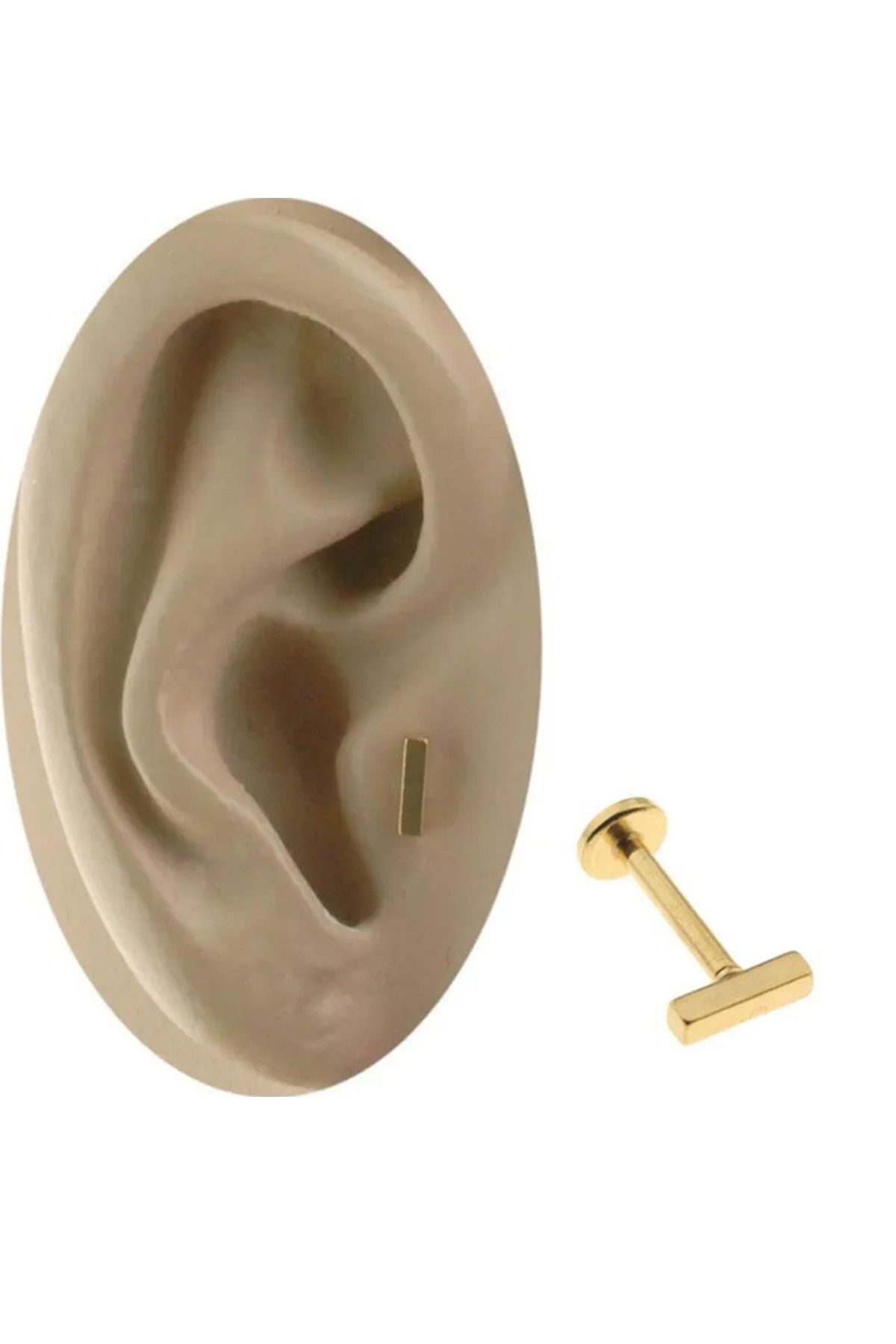 Cadının Dükkanı Çelik Gold Dikdörtgen Dudak Tragus Helix Kıkırdak Piercing