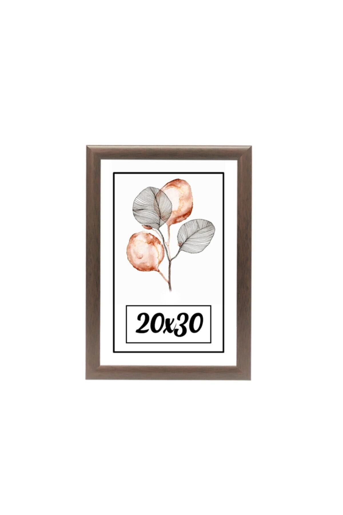 Elioure Kişiye Özel 20x30 Resim Çerçevesi, Ev ve Ofis İçin Şık Hediyelik