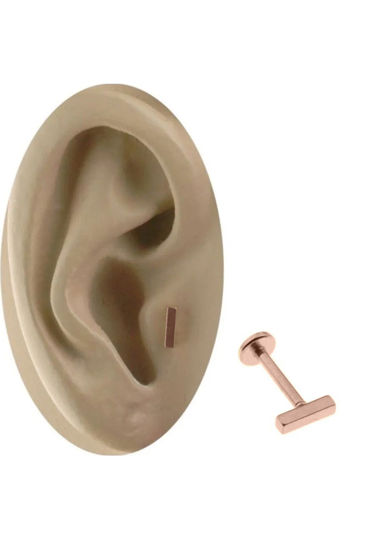 Cadının Dükkanı Çelik Rose Dikdörtgen Dudak Tragus Helix Kıkırdak Piercing