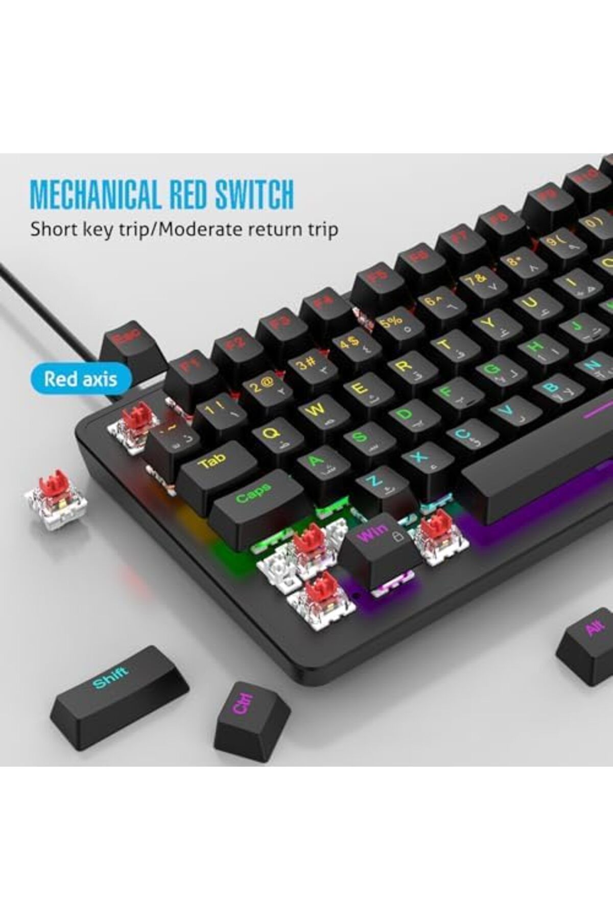 ROCK POW-70% Gaming Keyboard, Arabic English 82 Keys Mechanical Keyboard with RGB Backlit 19 Modes 4