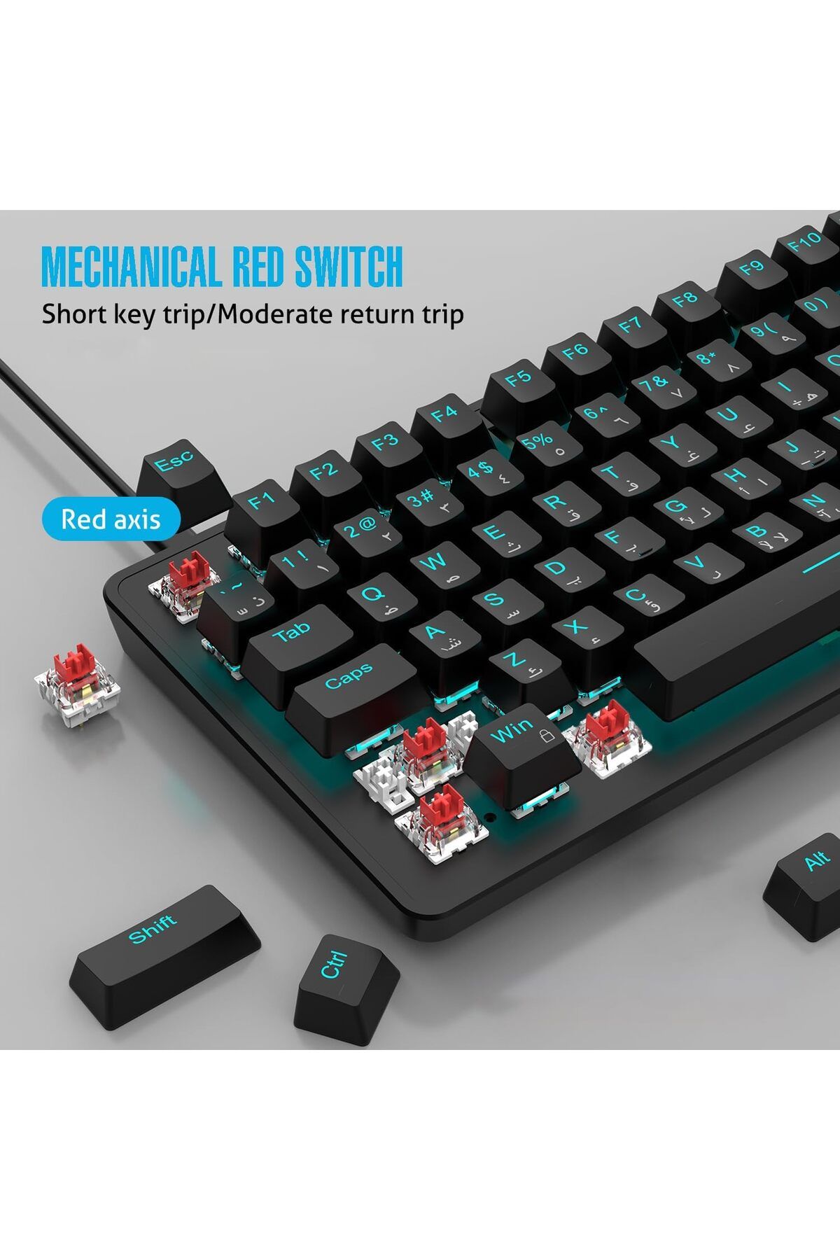 ROCK POW-Gaming Keyboard 70% Size by ROCK POW, Mechanical 82 Keys Arabic and English with Backlight 3
