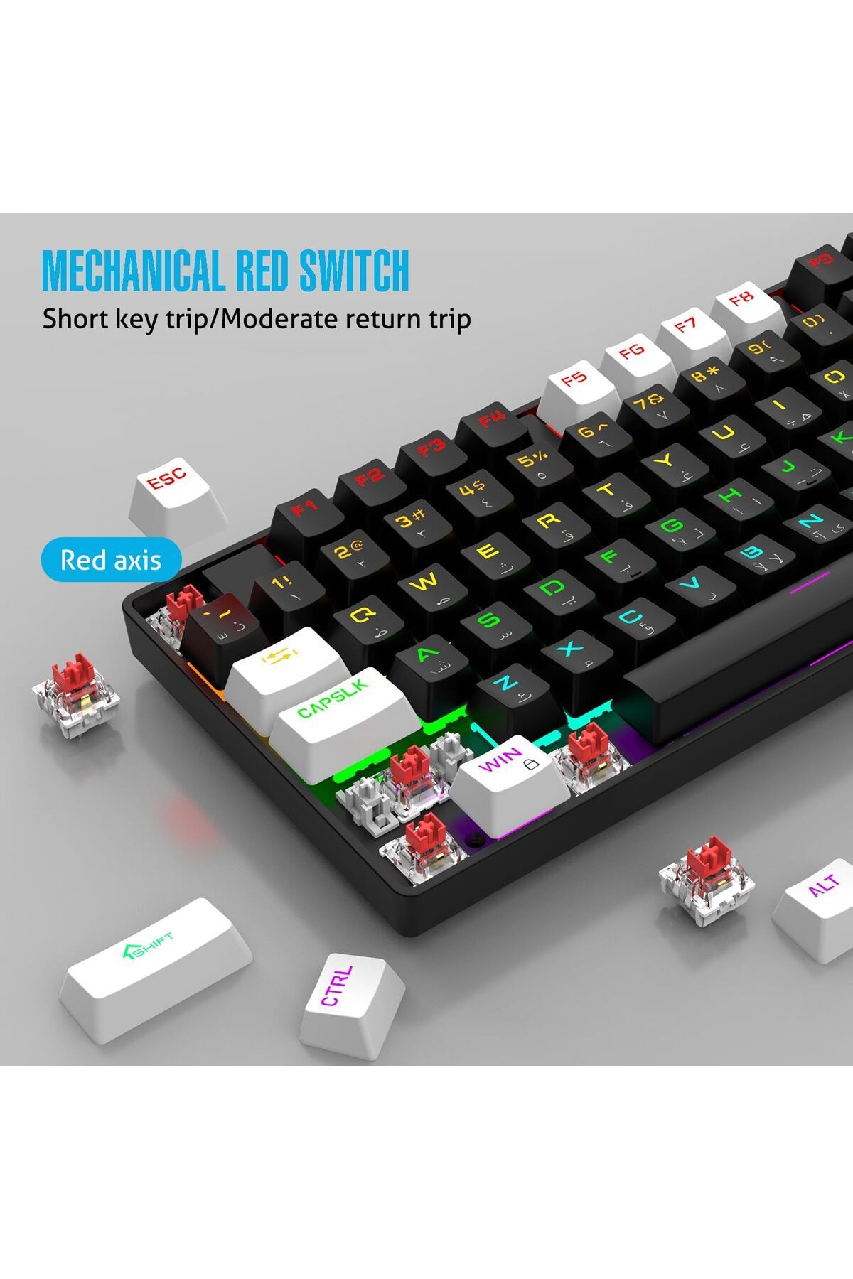 ROCK POW-75% Gaming Keyboard, Arabic English 87 Keys Mechanical Keyboard with RGB Backlit 19 Modes, 3