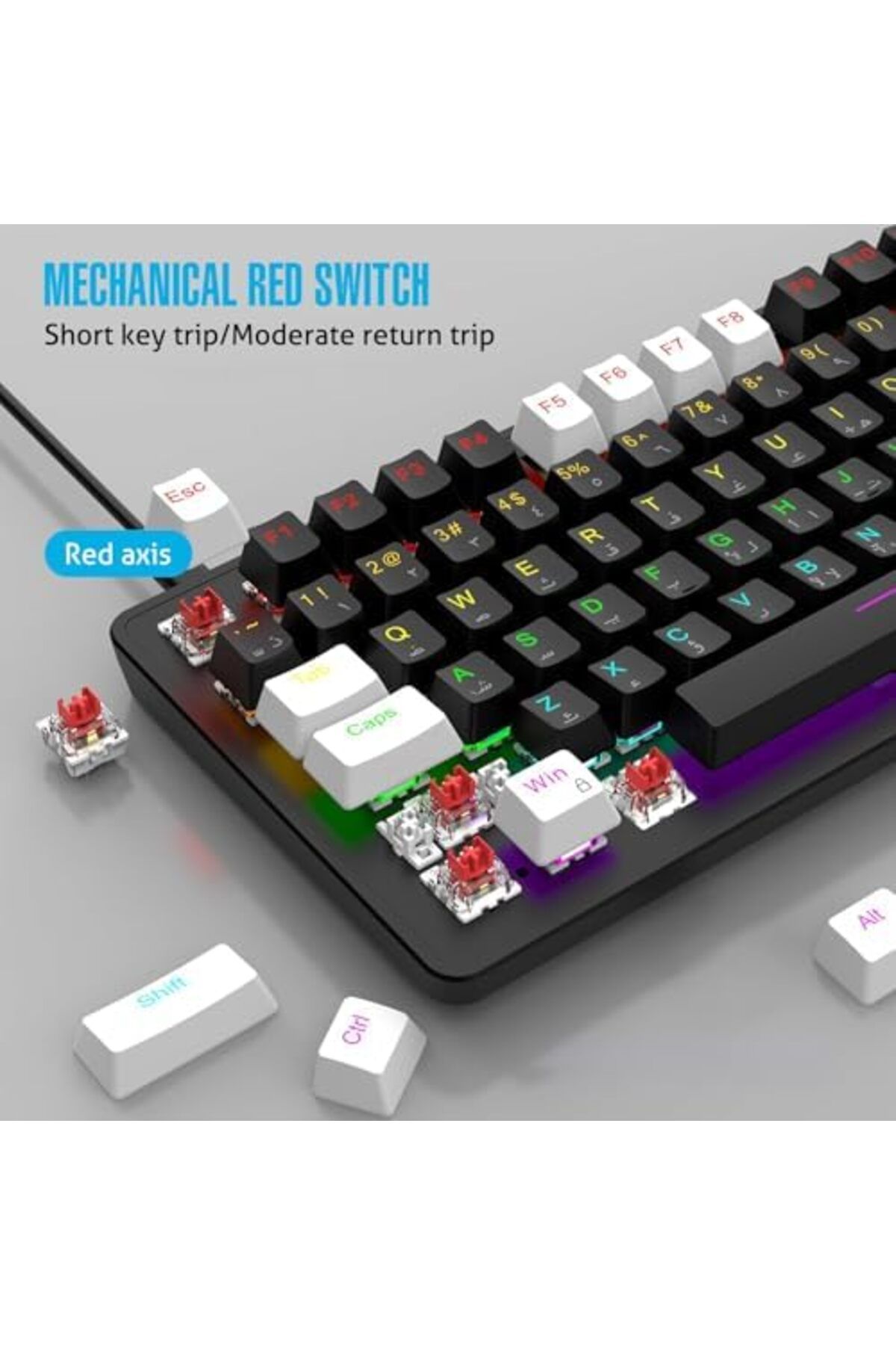 ROCK POW-70% Gaming Keyboard, Arabic English 82 Keys Mechanical Keyboard with RGB Backlit 19 Modes, 4