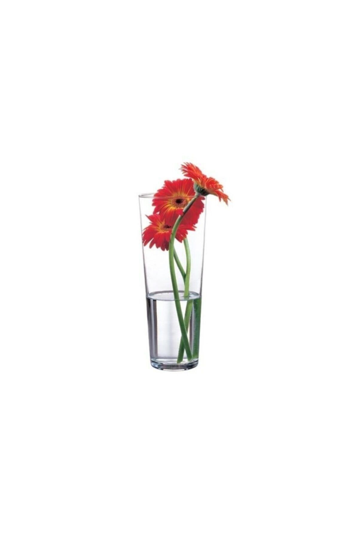 Elioure Şeffaf Botanica Flora Vazo 1 Adet, şık ve modern ev dekorasyonu için ideal seçim