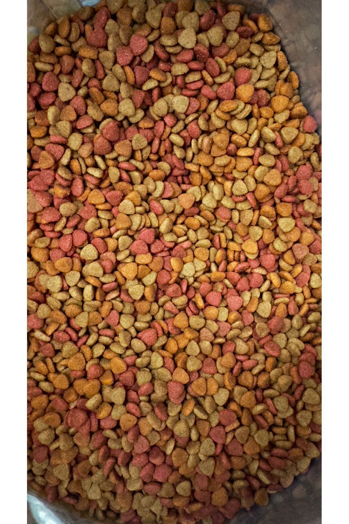 MERİNSHOP 1 KG Gurme Kedi Maması Renkli Taneli Tavuk-balık-kuzuetli