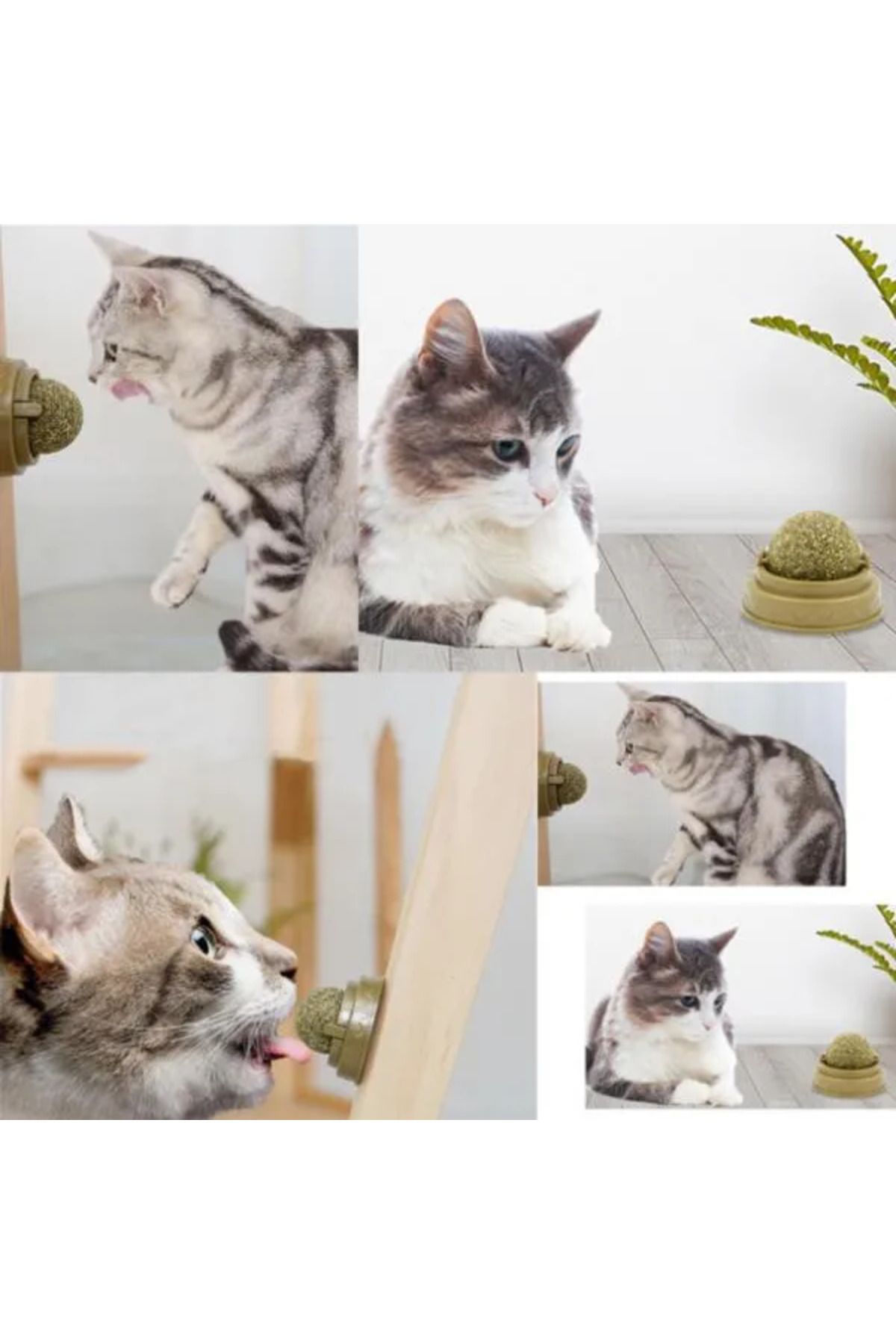 TTT Kedi Nanesi Oyun Topu