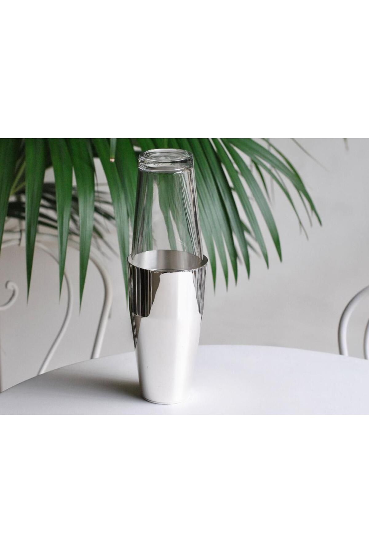 Globy Üstü Cam Boston Shaker