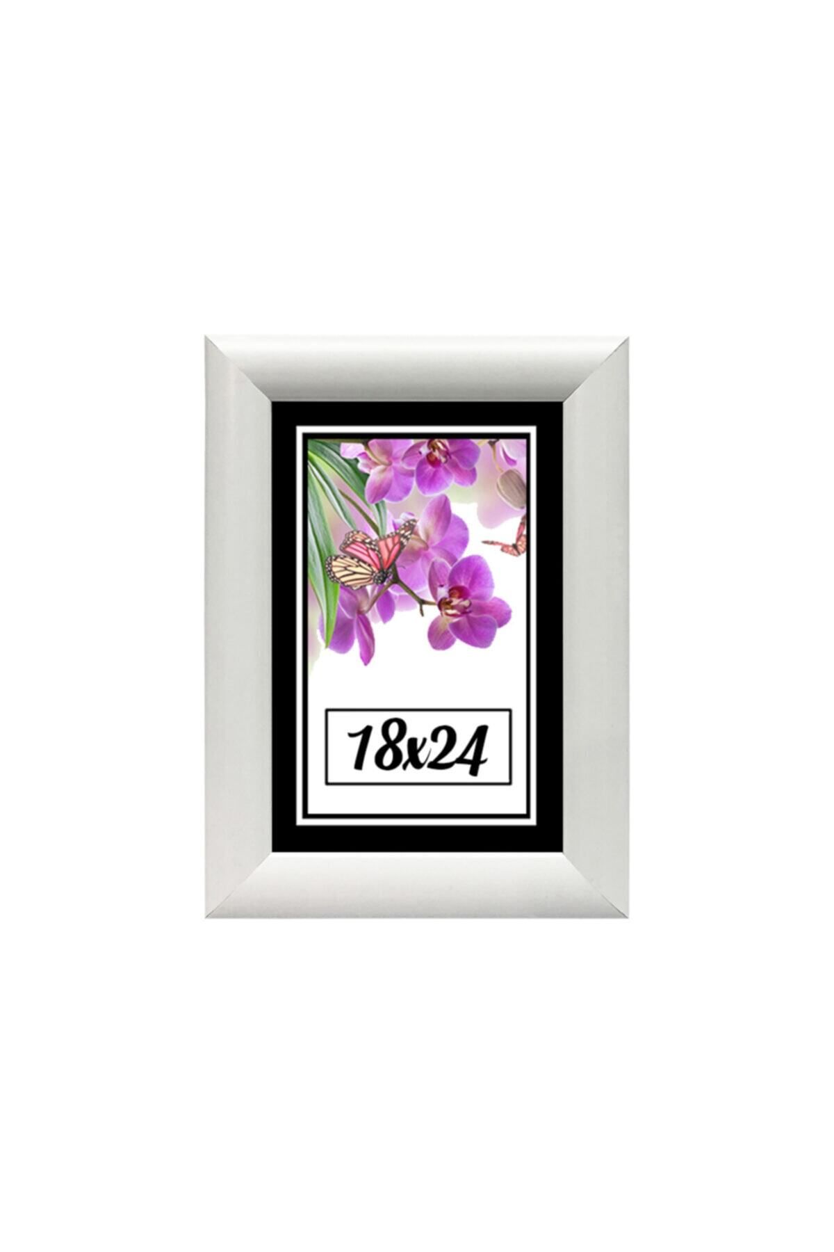 Elioure Kişiye Özel 18x24 Çerçeve, Ev ve Ofis Dekoru, Hediye Seçeneği