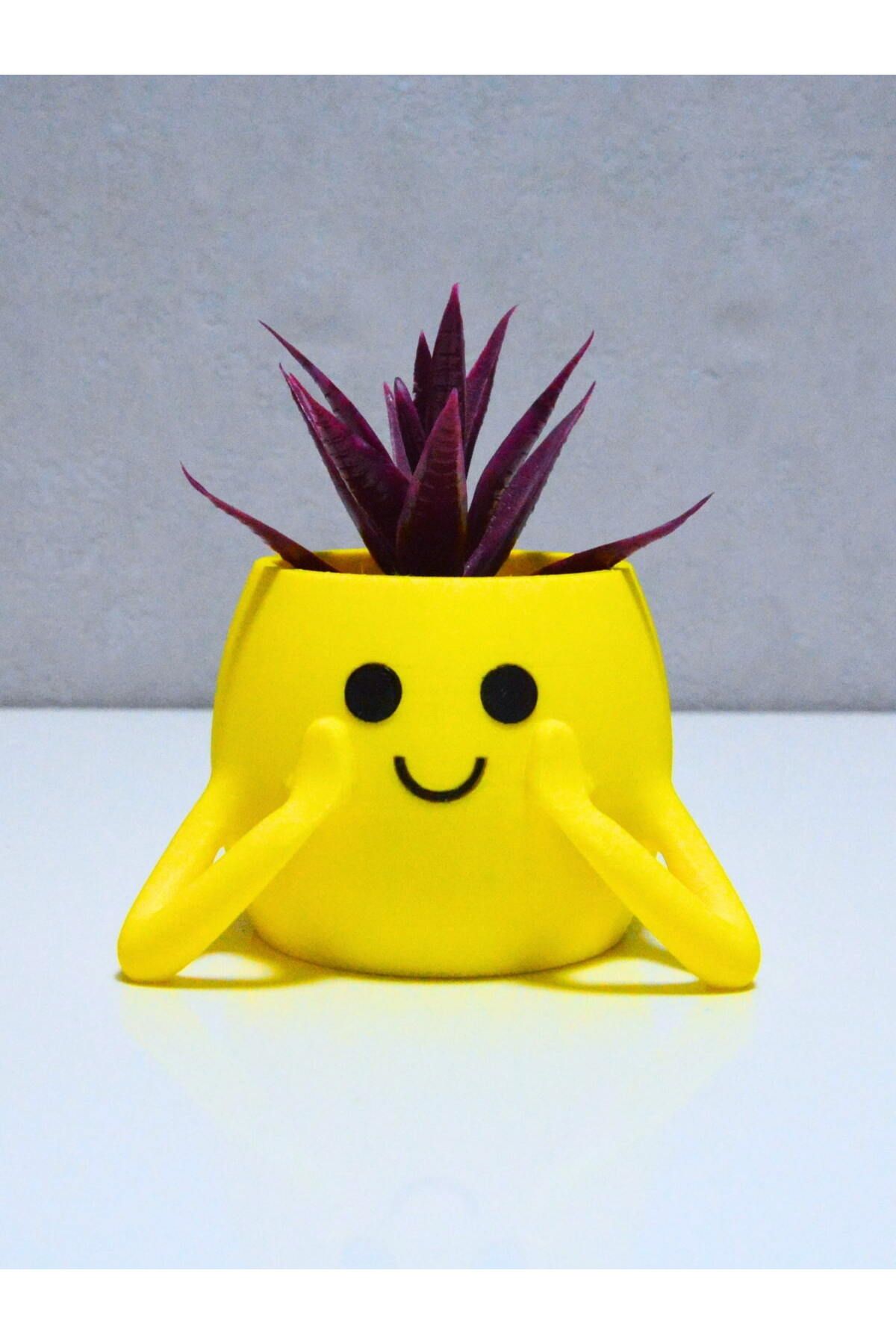 rmys 3D Neşeli Mini Saksı- Sarı
