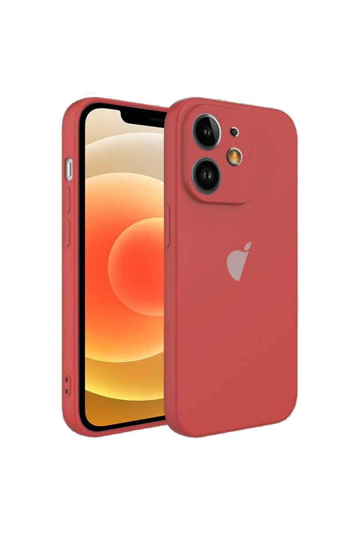 Tekamo Apple iPhone 12 Uyumlu Kamera Korumalı Silikon İçi Kadife Lansman Kılıf