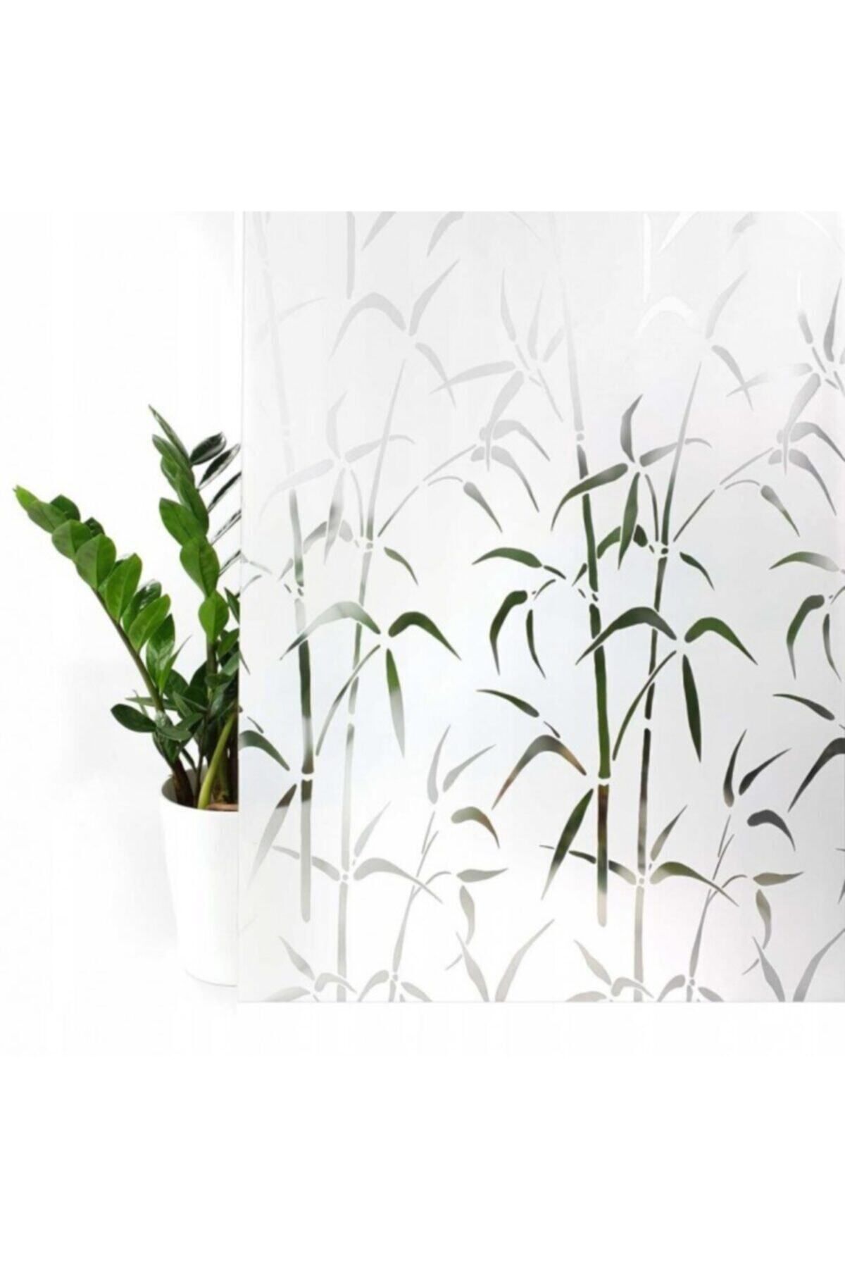 Elioure Şeffaf Cam Vitray Bambu Yapışkanlı Folyo 67,5cm x 1mt, Dekoratif ve Pratik Kullanım