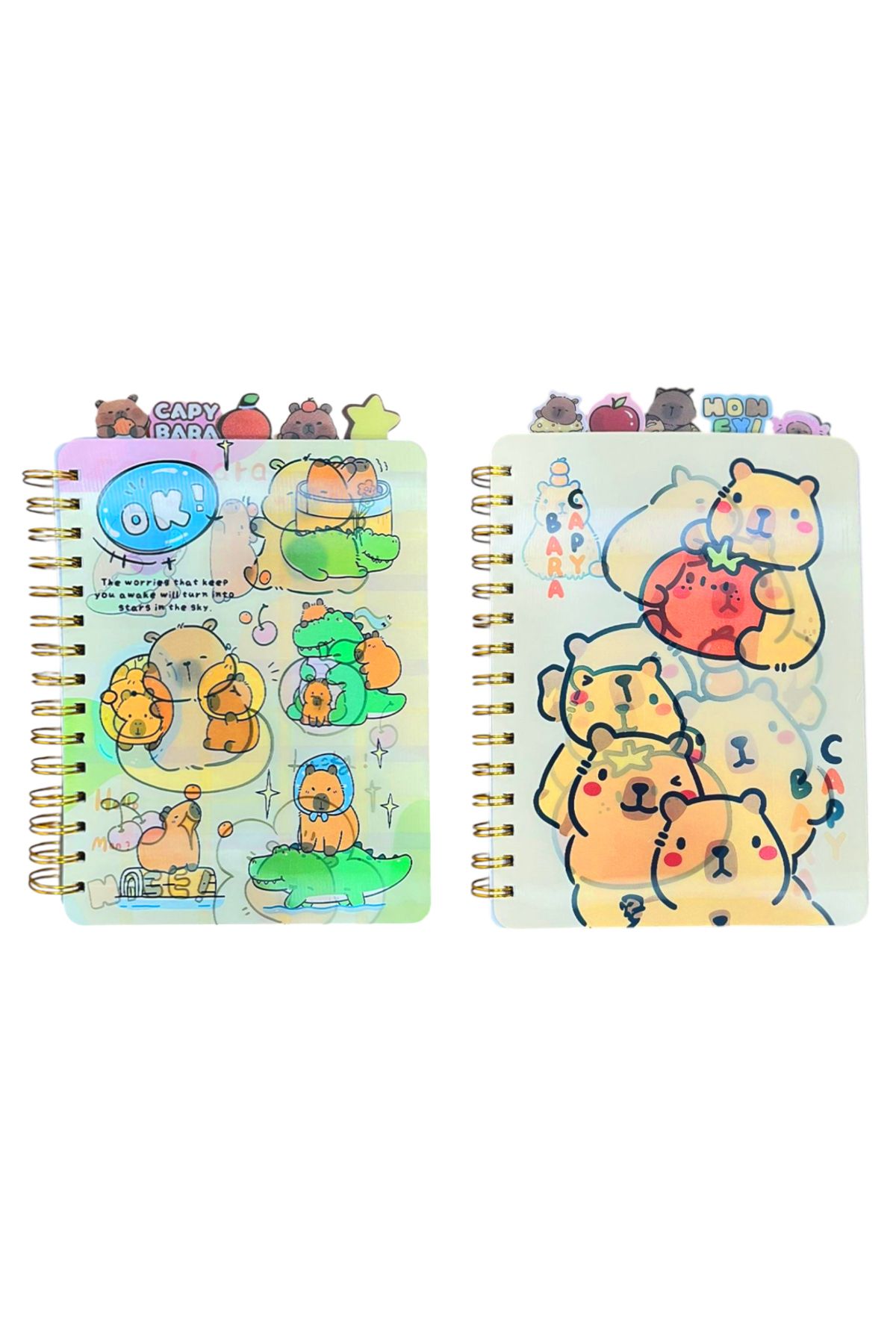 Banadabak DEFTER 3D-PP010 3D 15x21 SPİRALLİ AYRAÇLI ÇİZGİLİ (1 Adet Fiyatı)