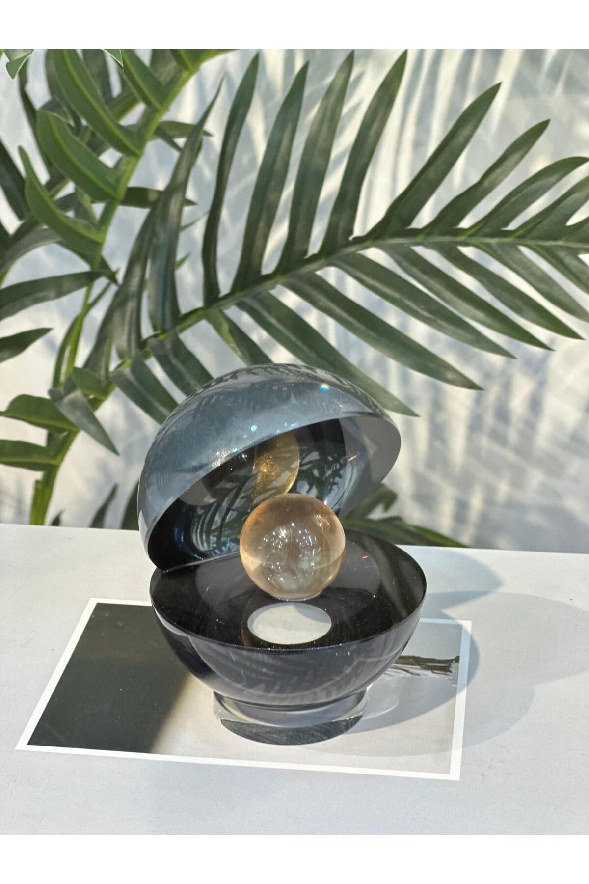 Pario Home Kristal Renkli İstiridye Biblo Düz Füme Rengi
