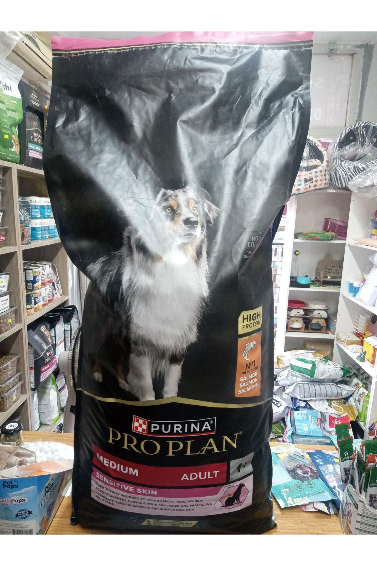 Pro Plan KÖPEK MEDİUM ADULT SENSİTİVE 14 KG SOMONLU