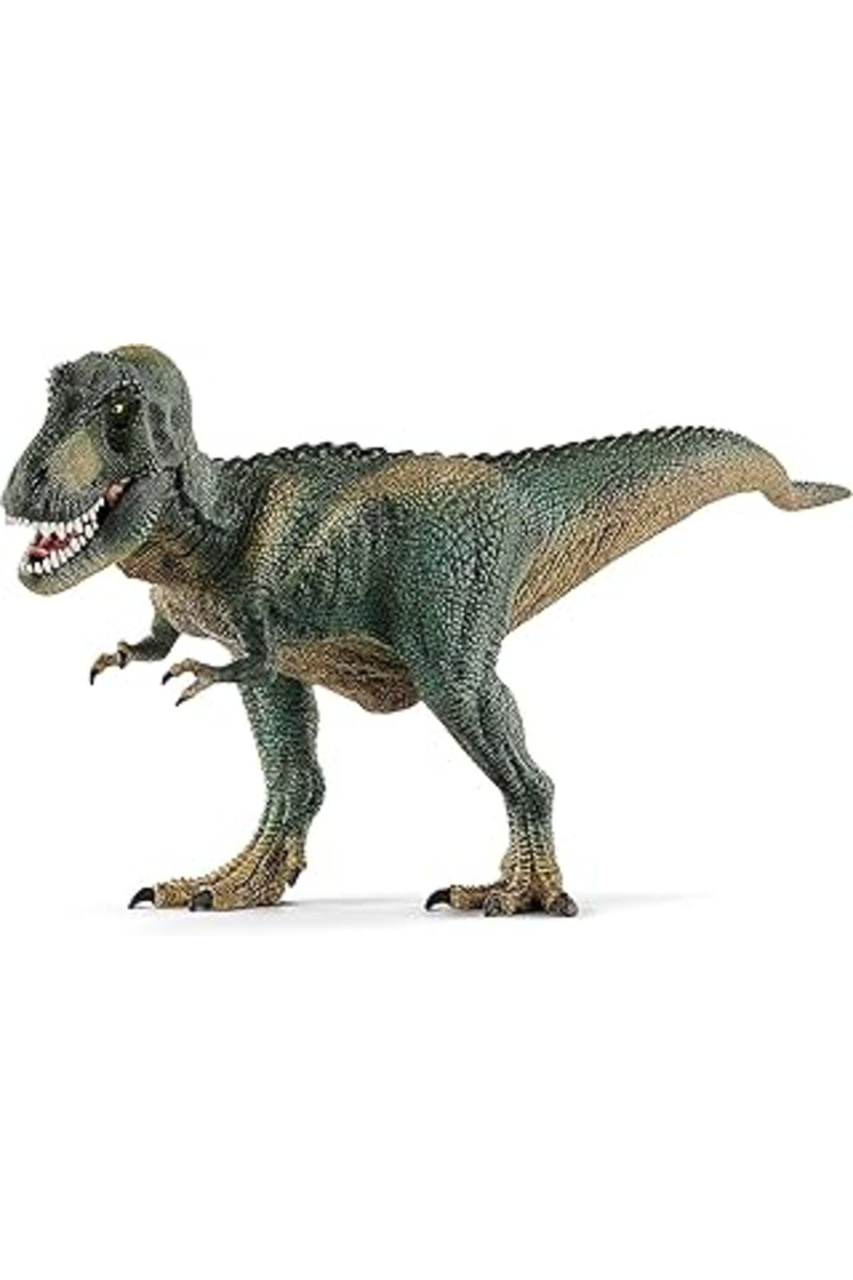 Roses Store Schleich 14587 T Rex Oyuncak Figürü, Çok Renkli