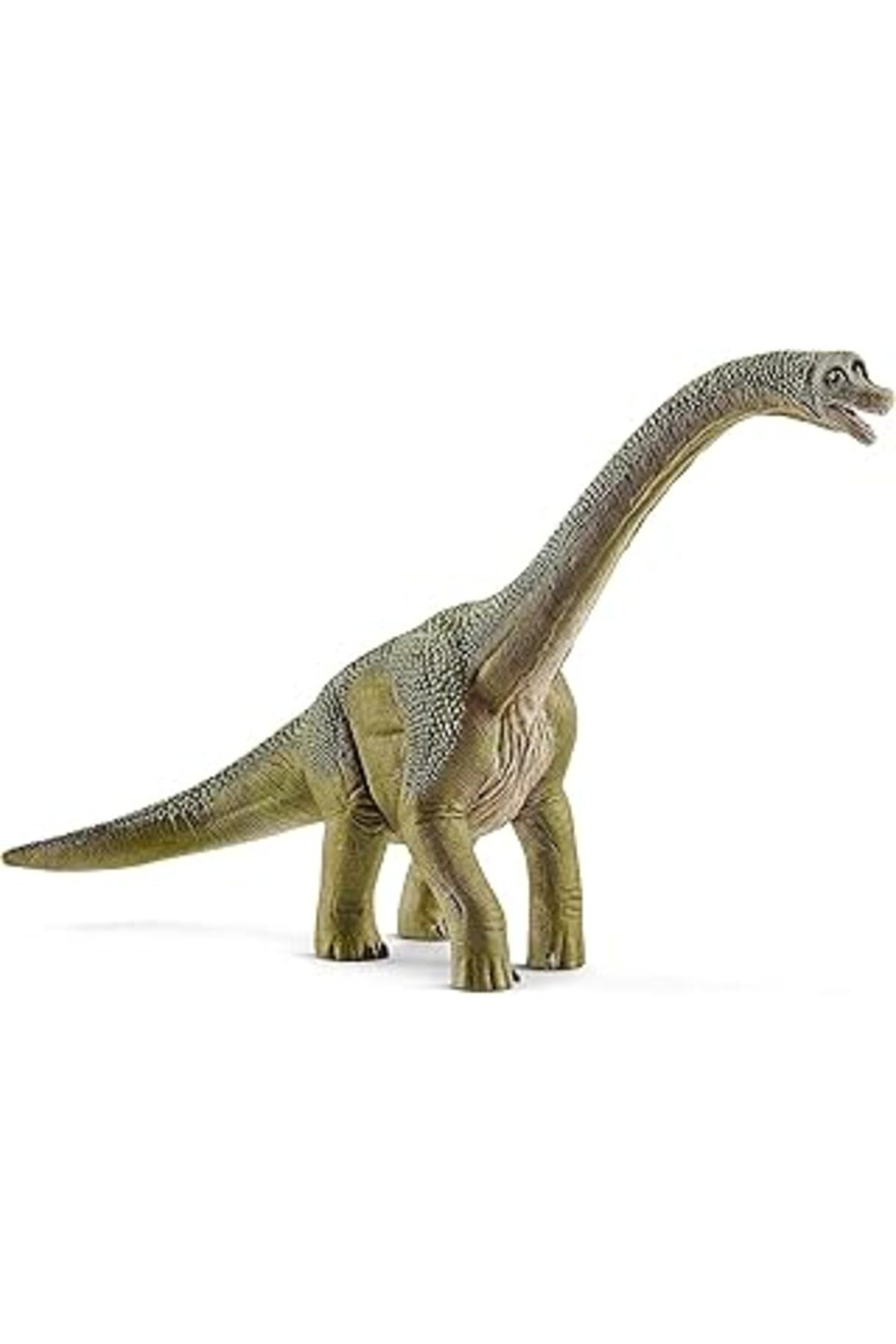 Pazarcan Schleich Brachiosaurus