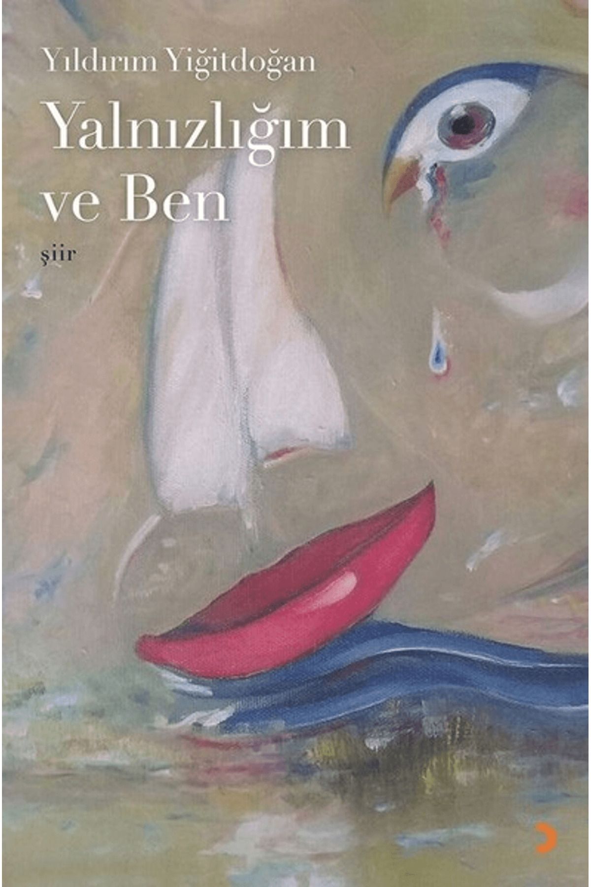 Cinius Yayınları Yalnızlığım ve Ben