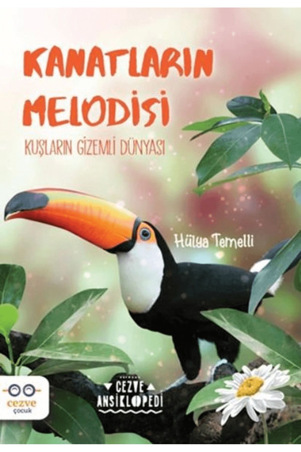 Cezve Çocuk Kanatların Melodisi