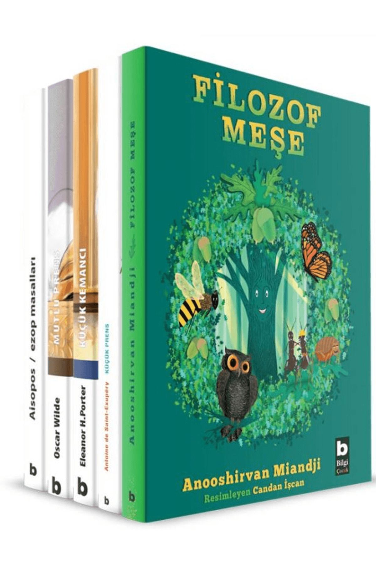 Bilgi Yayınevi Çocuklar İçin Sanat ve Felsefe Dizisi (5 Kitap)