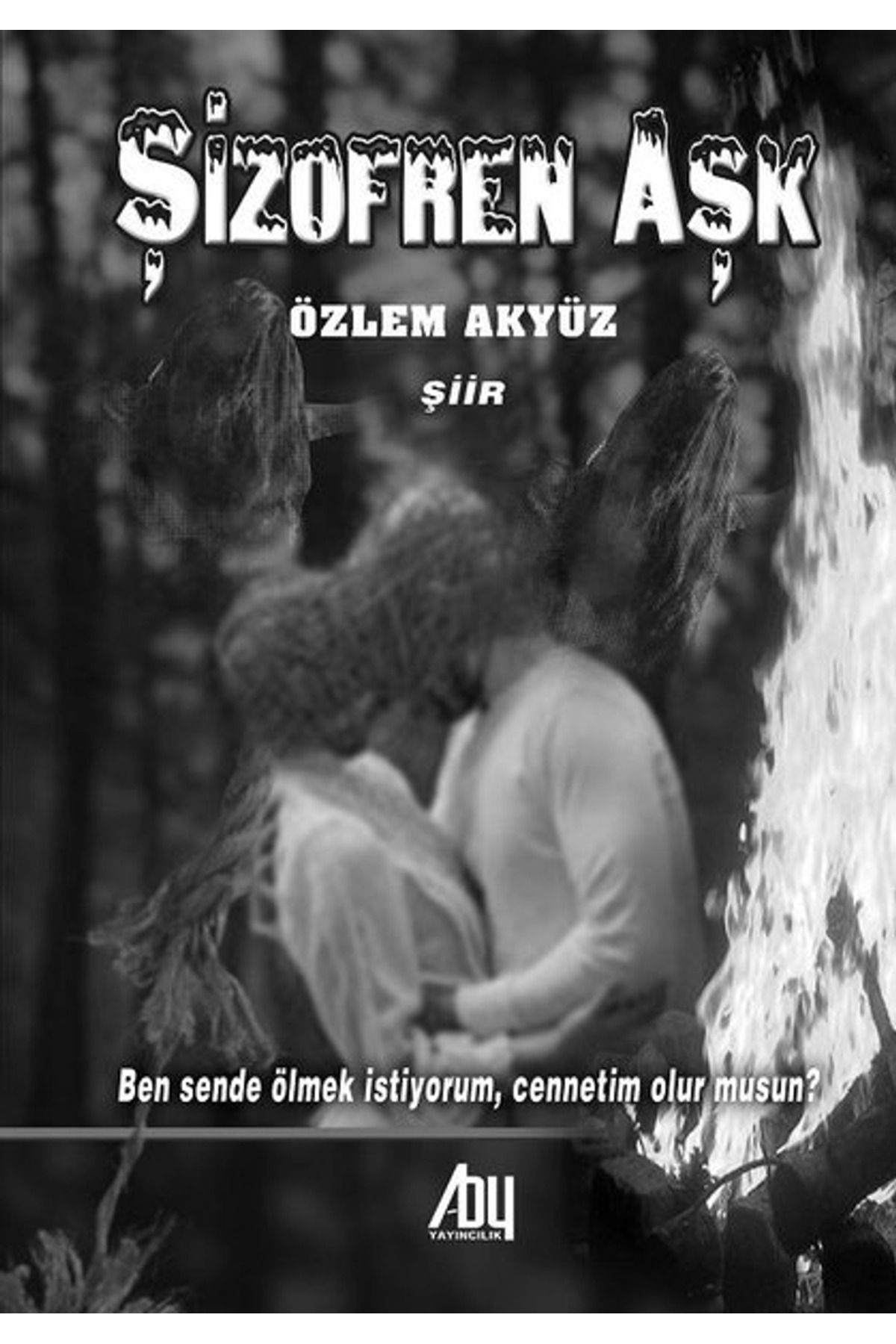 Baygenç Yayıncılık Şizofren Aşk