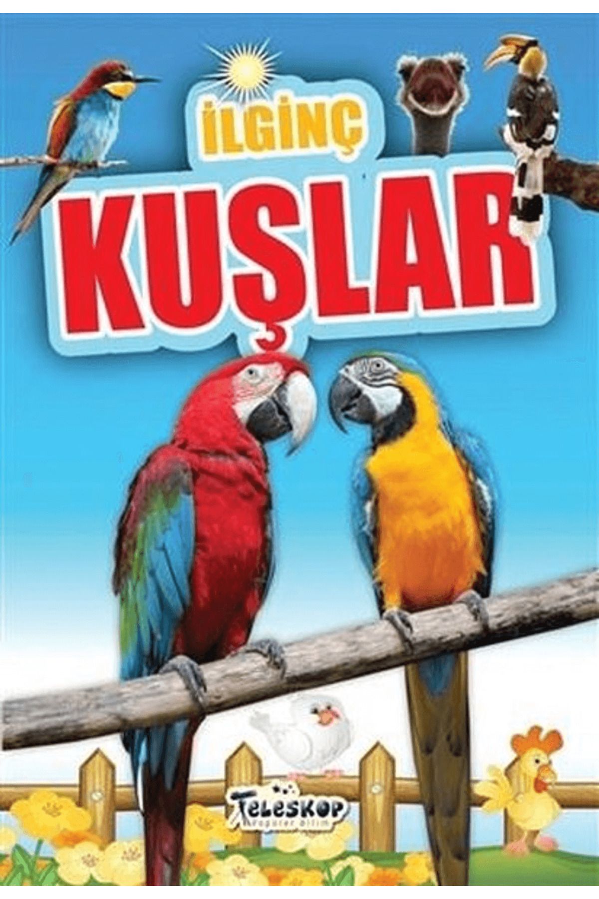 Teleskop Popüler Bilim İlginç Kuşlar