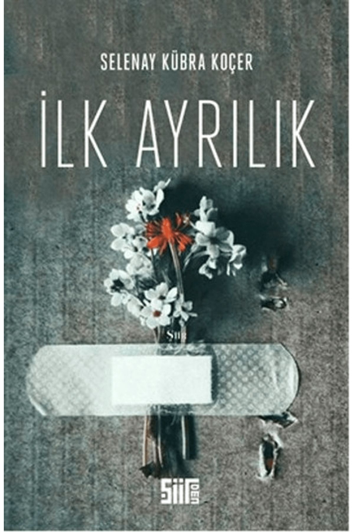 Şiirden Yayıncılık İlk Ayrılık