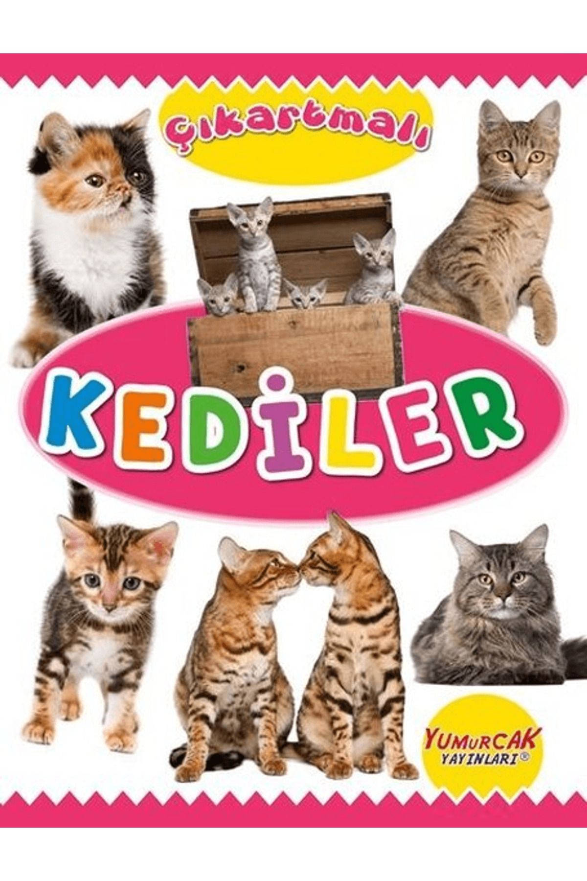 Yumurcak Yayınları Çıkartmalı Kediler