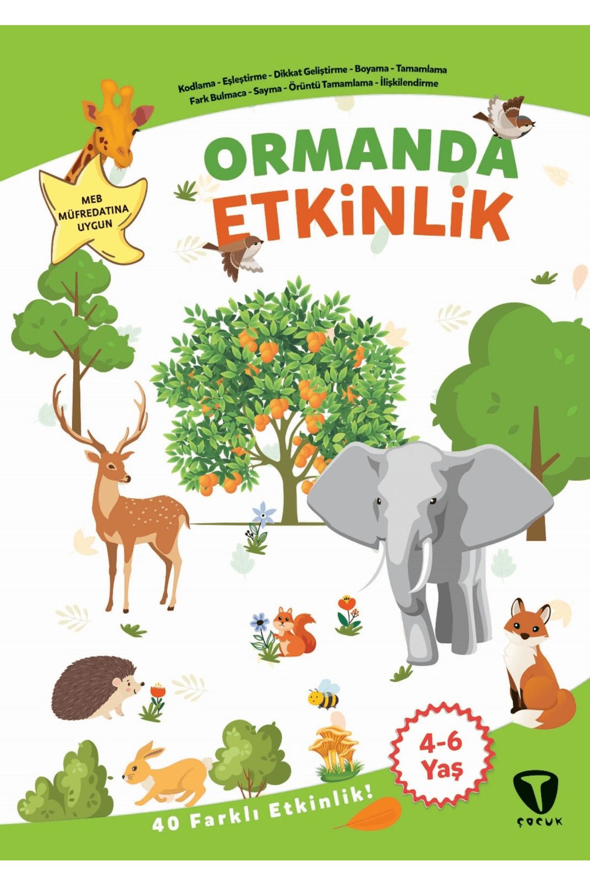 Turkuvaz Çocuk Ormanda Etkinlik