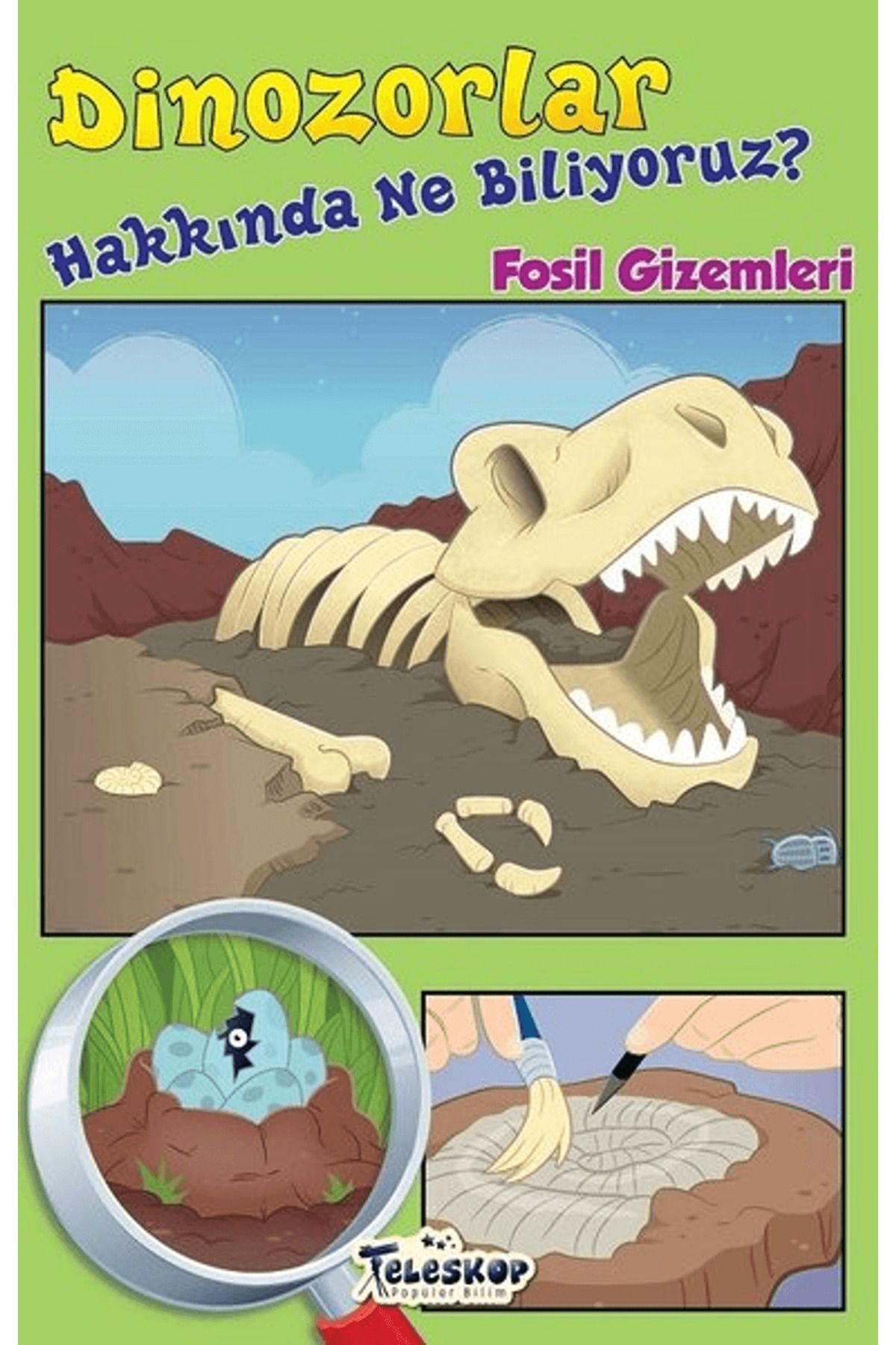 Teleskop Popüler Bilim Dinozorlar Hakkında Ne Biliyoruz?