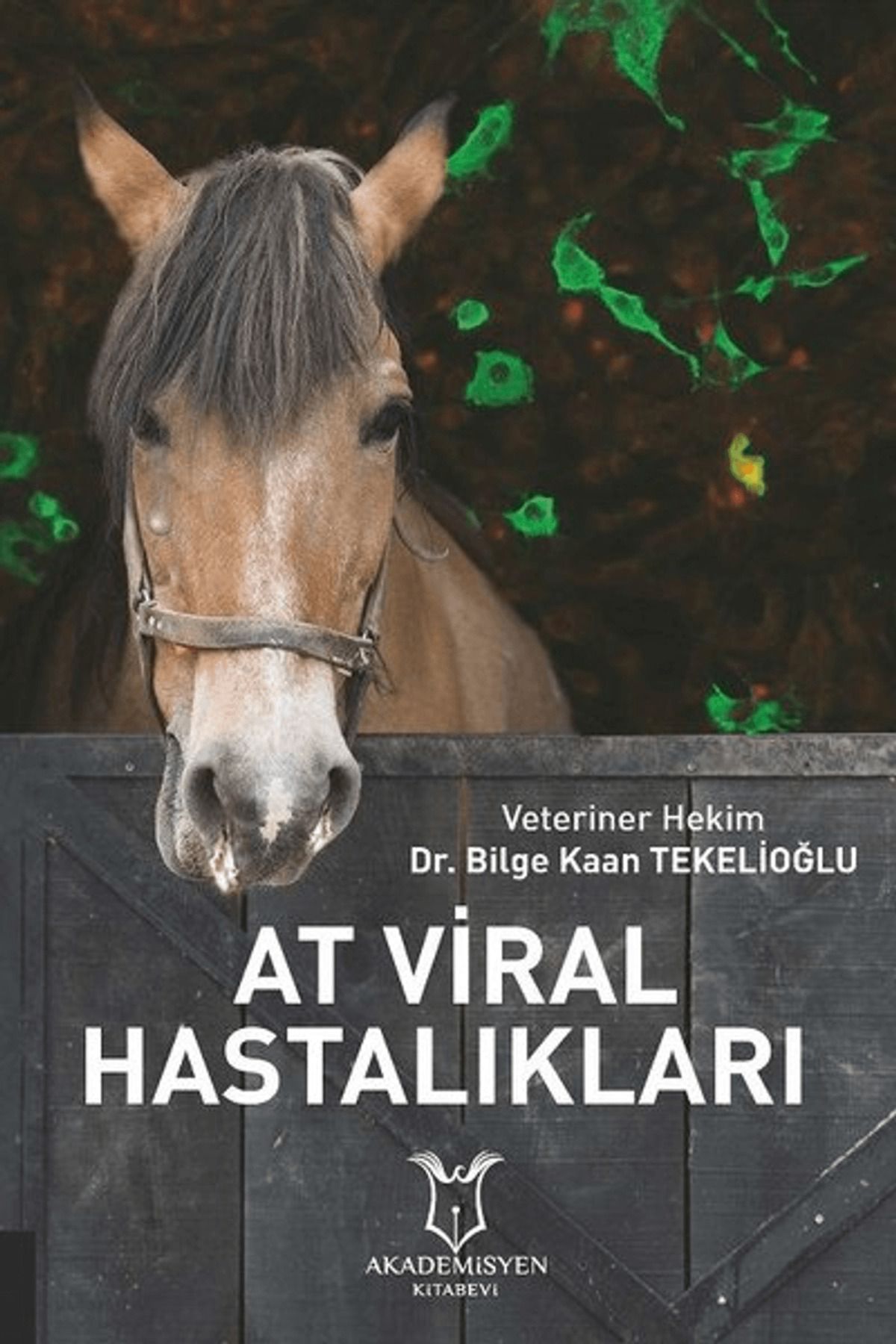 Akademisyen Kitabevi At Viral Hastalıkları