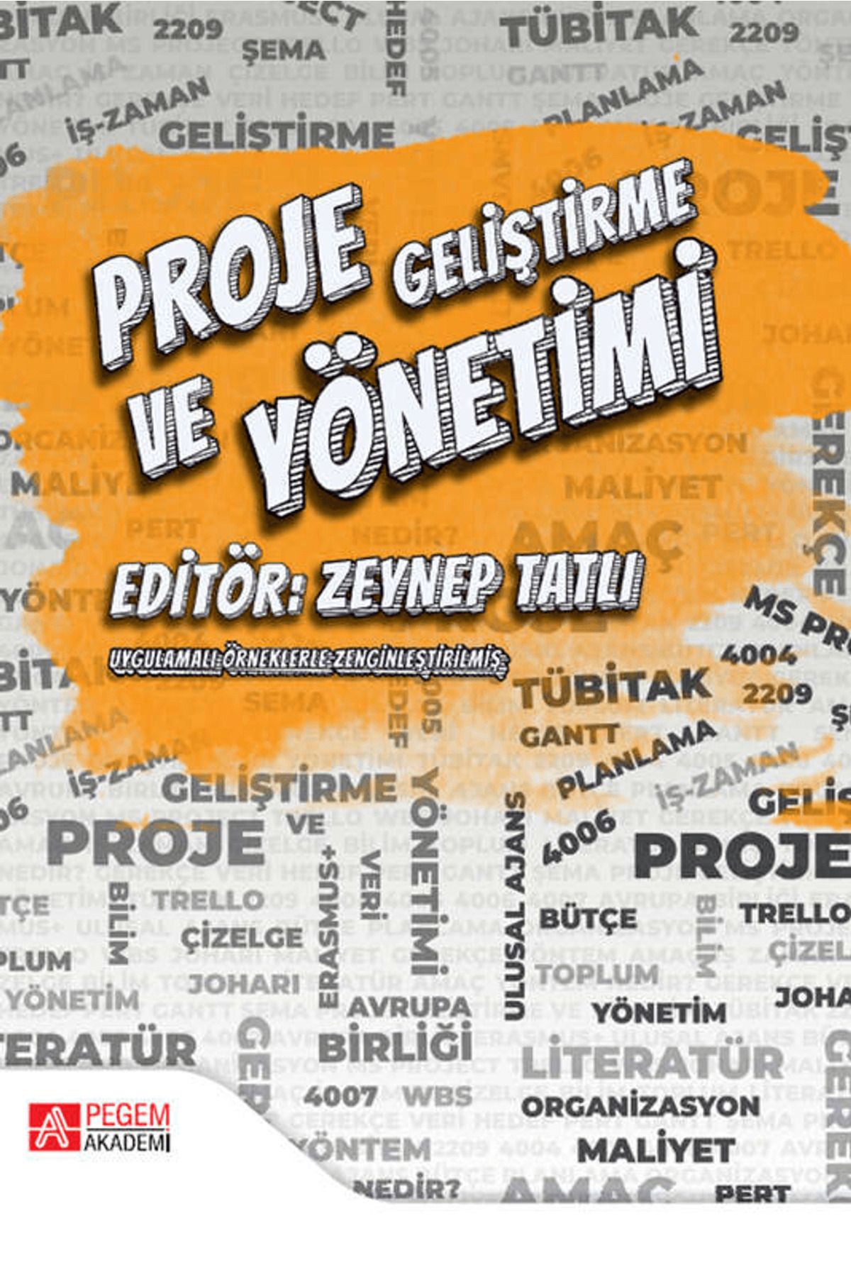 Pegem Akademi Yayıncılık Proje Geliştirme ve Yönetimi