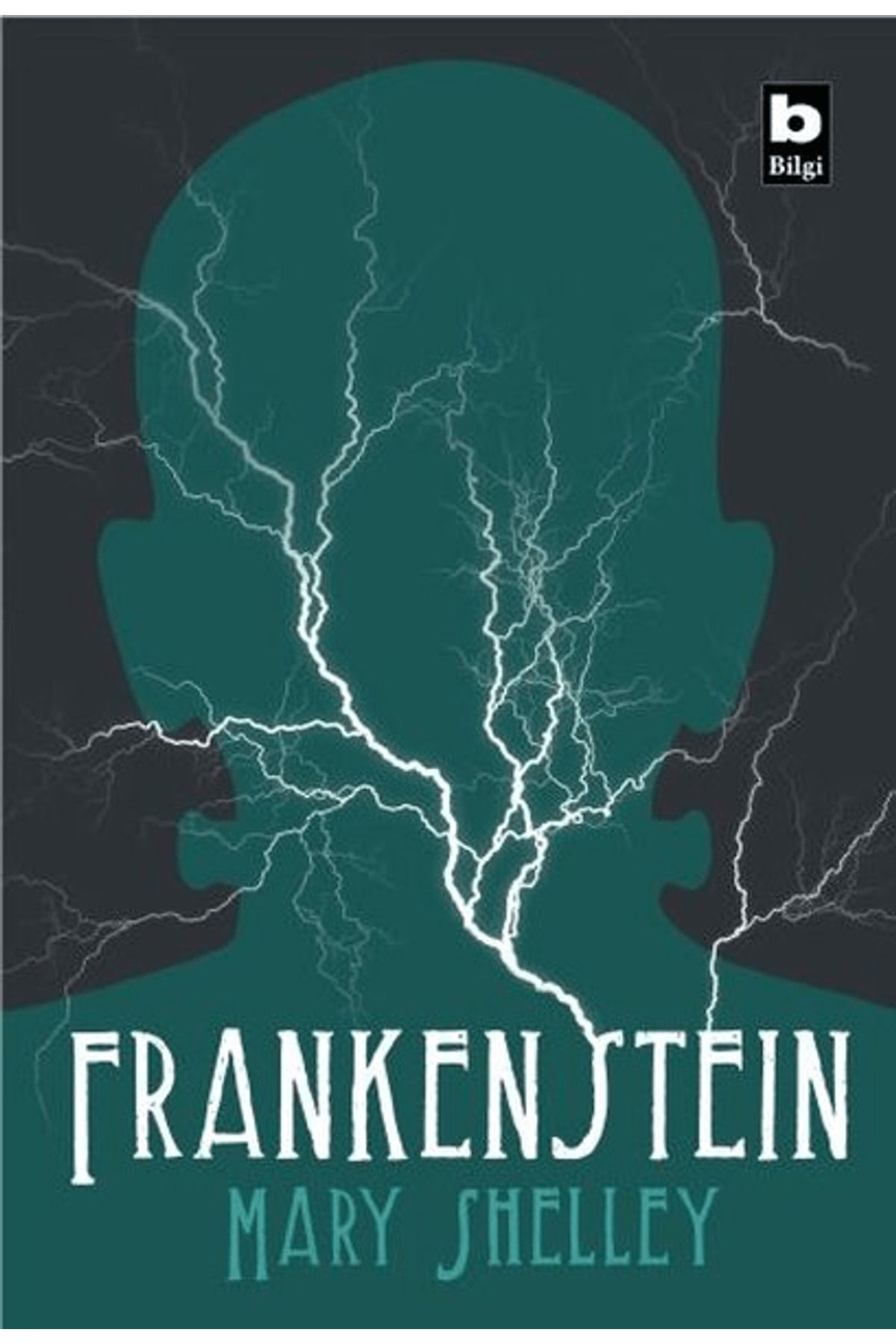 Bilgi Yayınevi Frankenstein