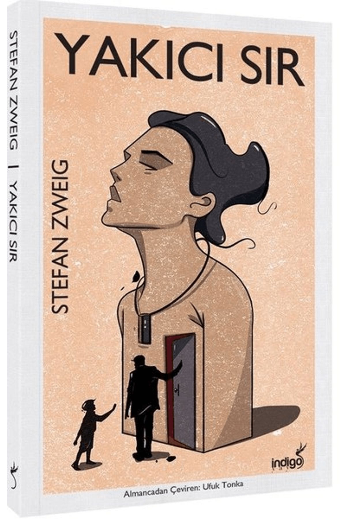 İndigo Kitap Yakıcı Sır