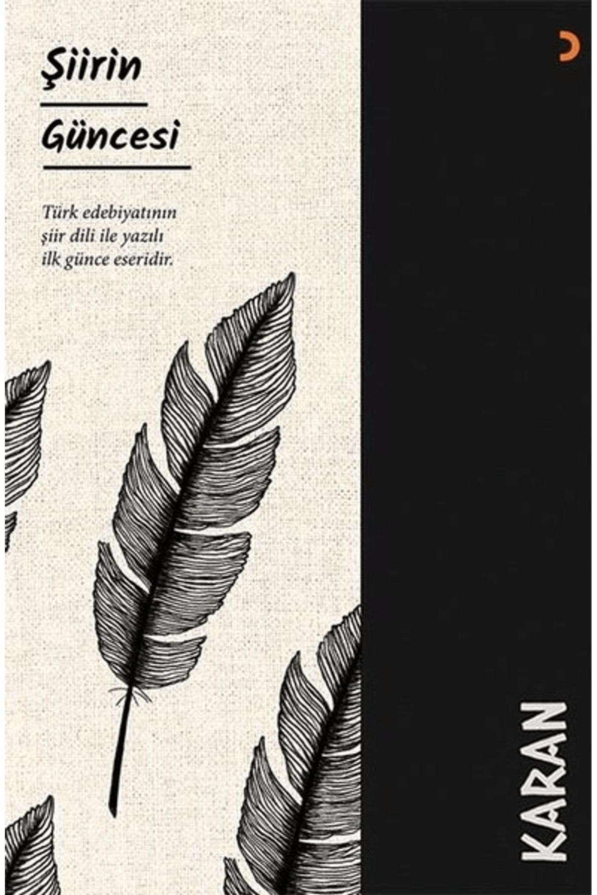 Cinius Yayınları Şiirin Güncesi