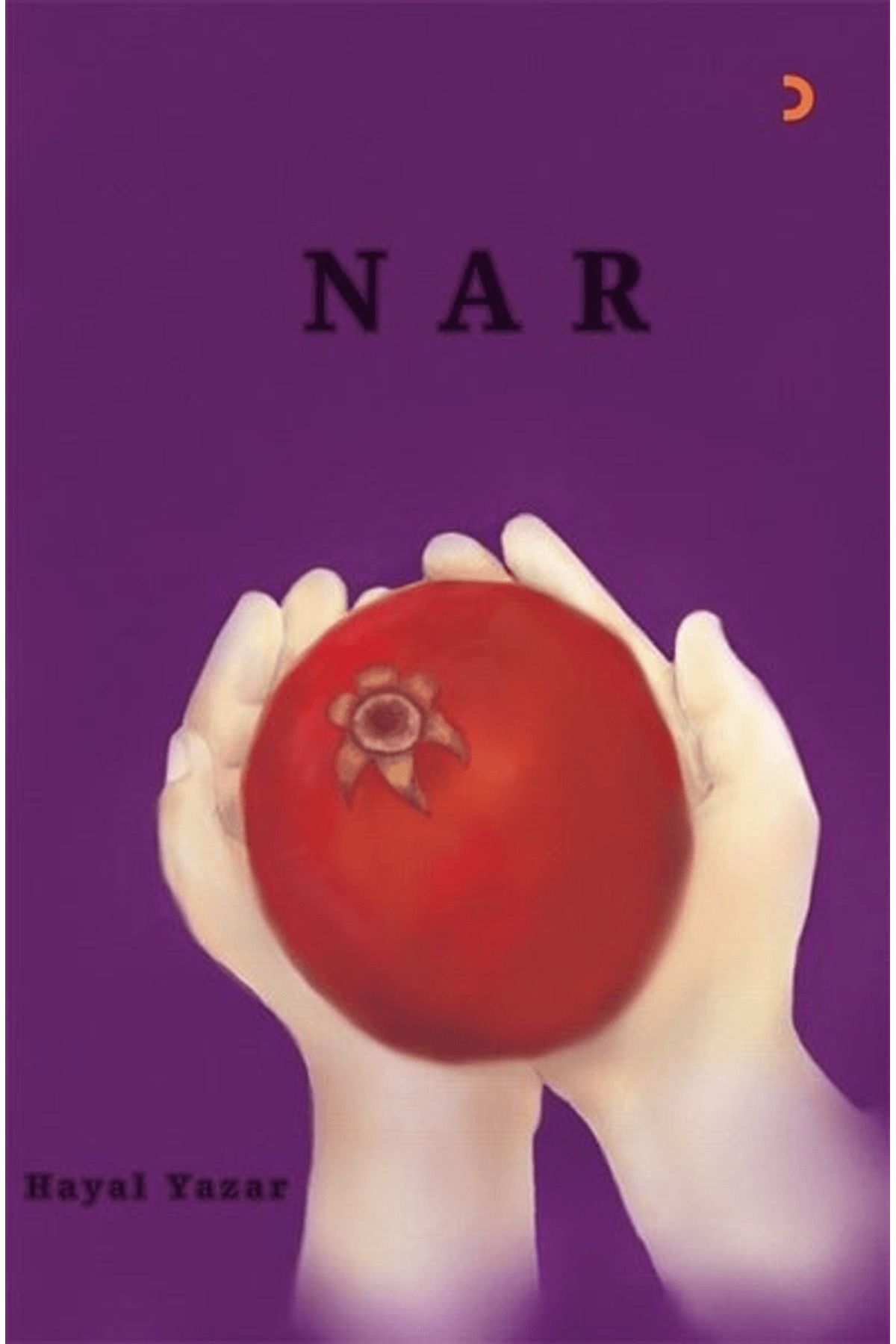 Cinius Yayınları Nar Roman