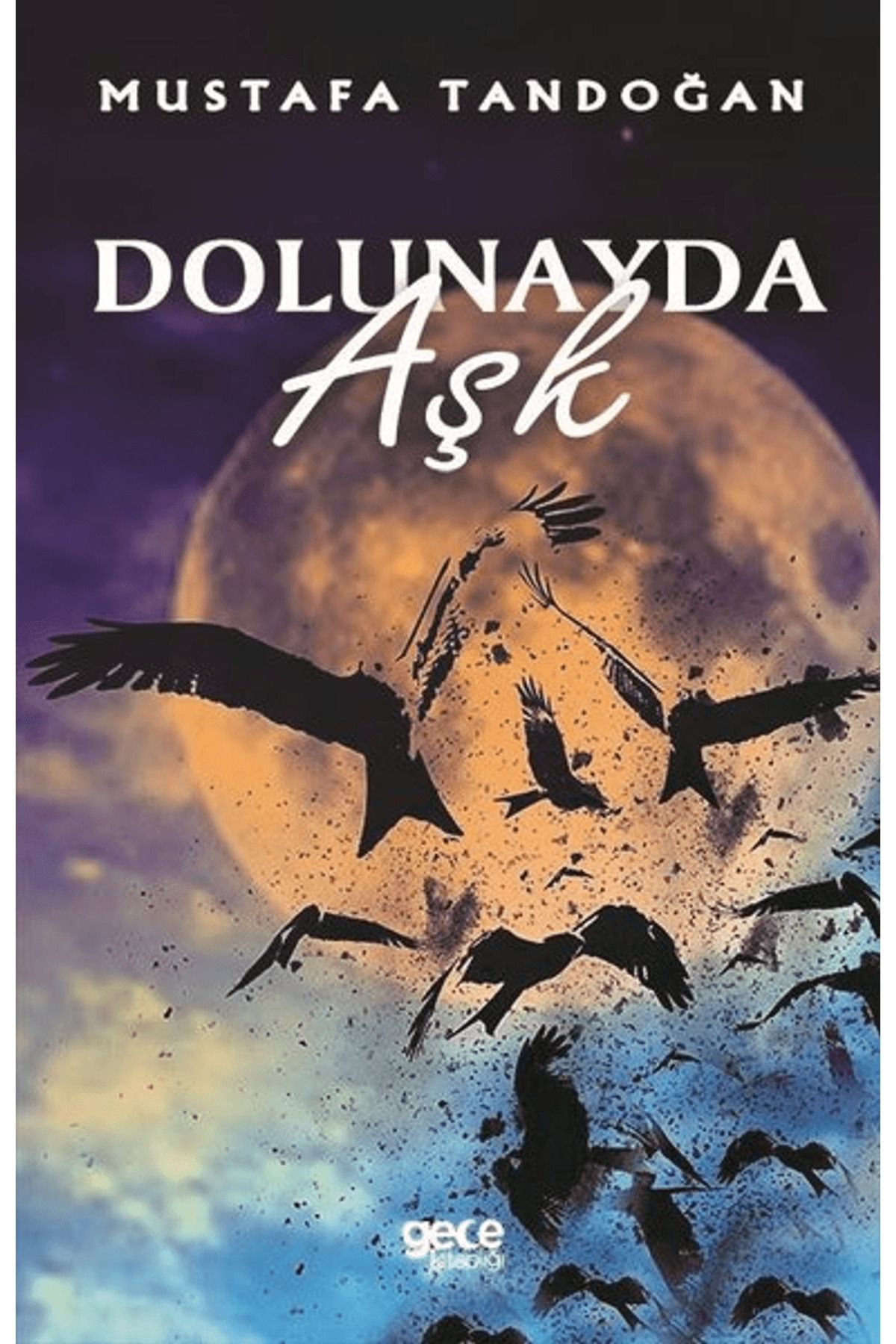 Gece Kitaplığı Dolunayda Aşk