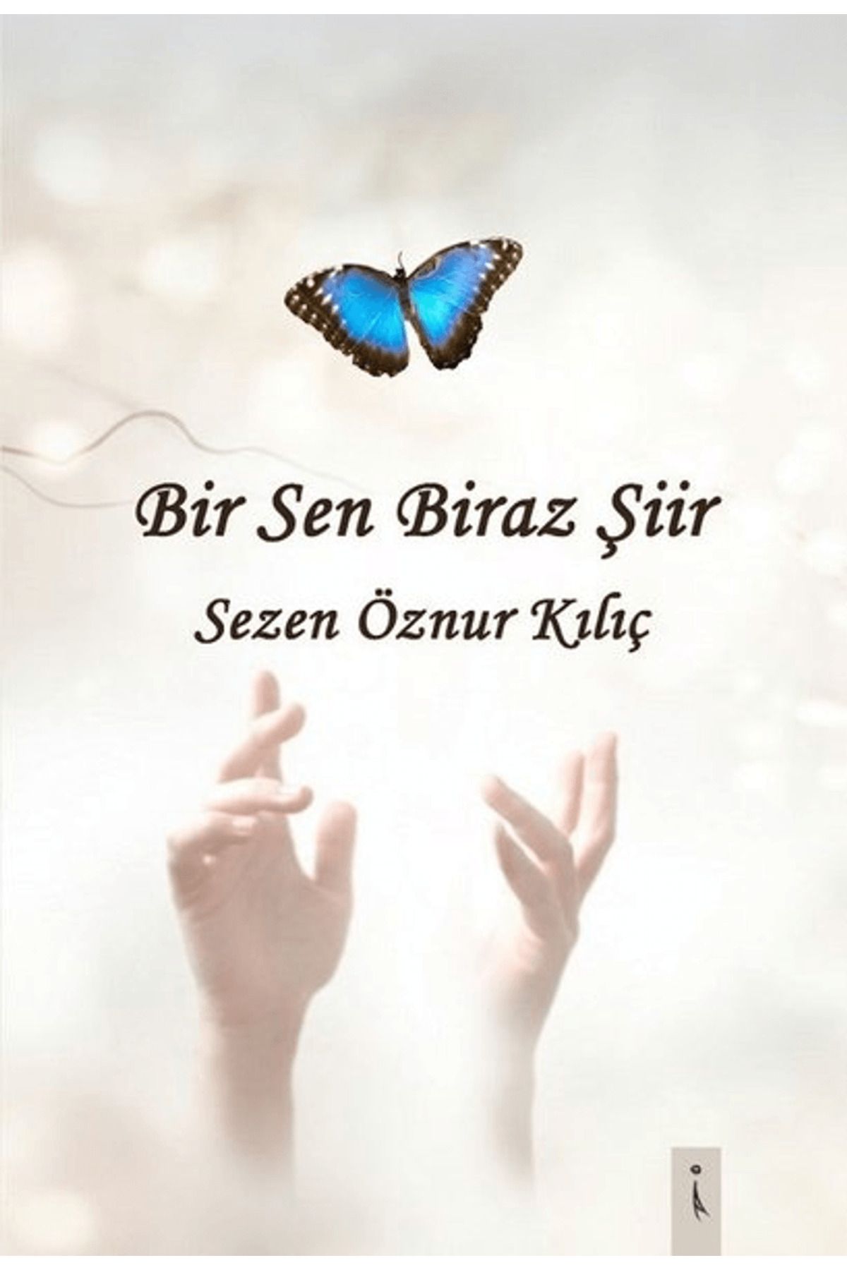 İkinci Adam Yayınları Bir Sen Biraz Şiir