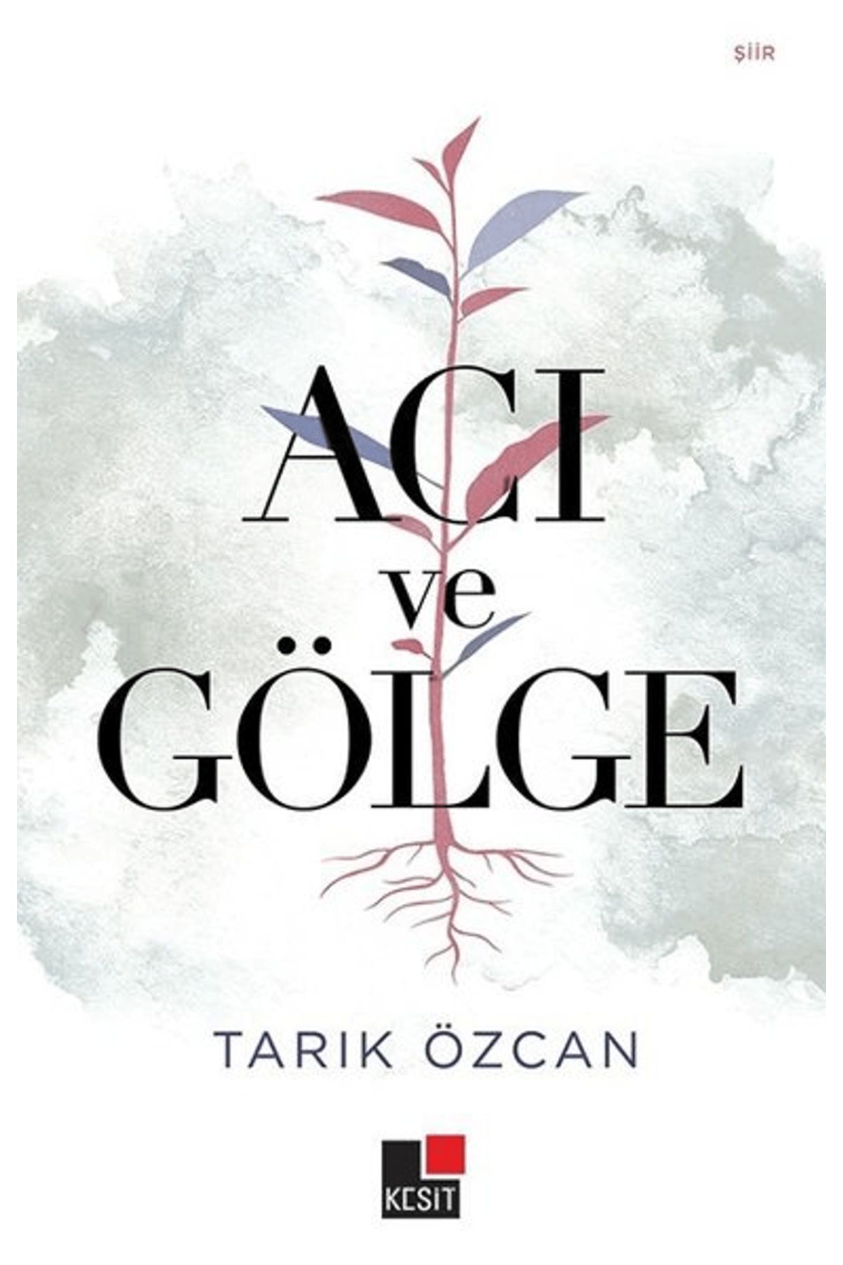 Kesit Yayınları Acı ve Gölge