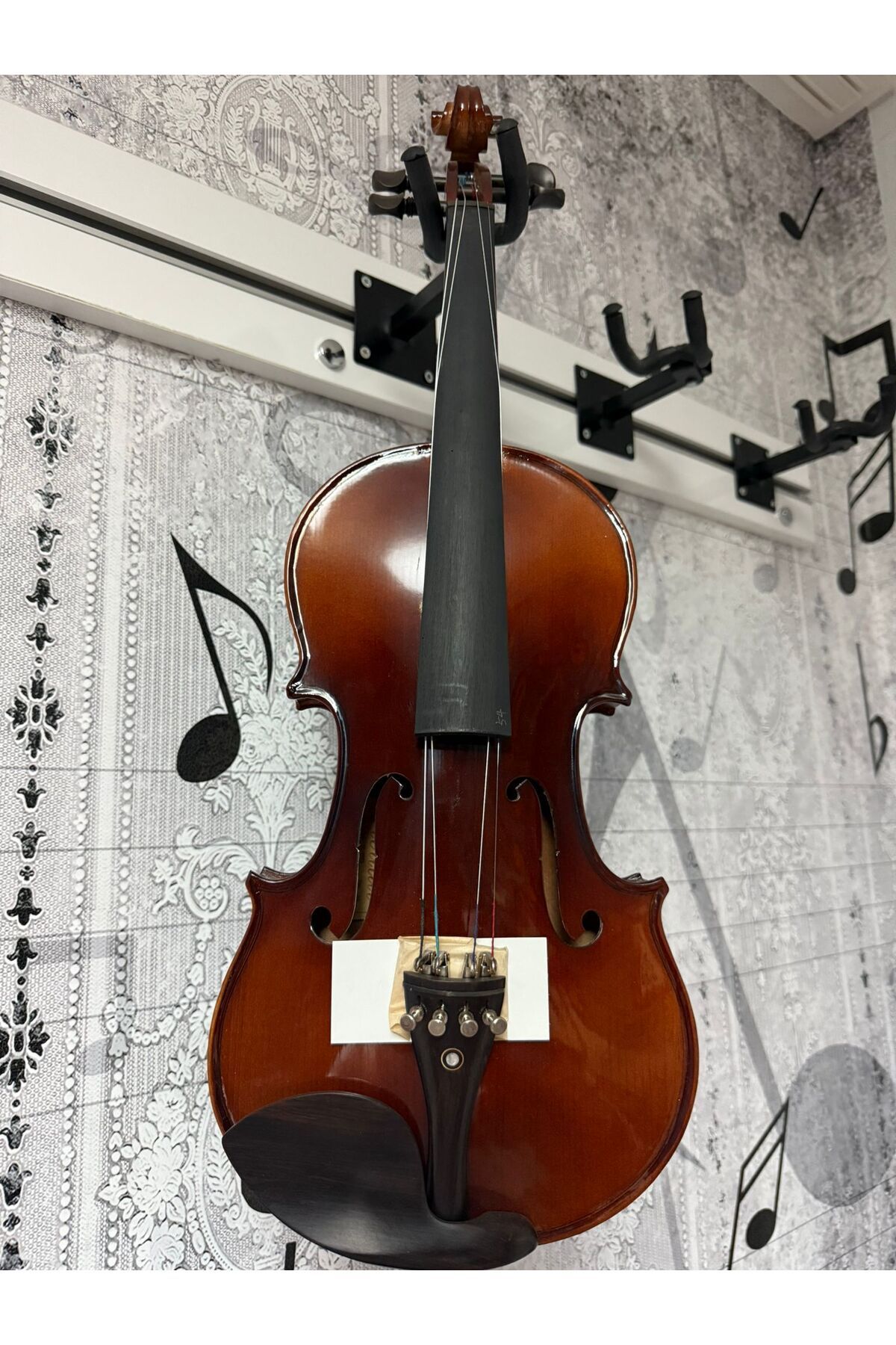 Vivaldi 4/4 Öğrenci Kemanı