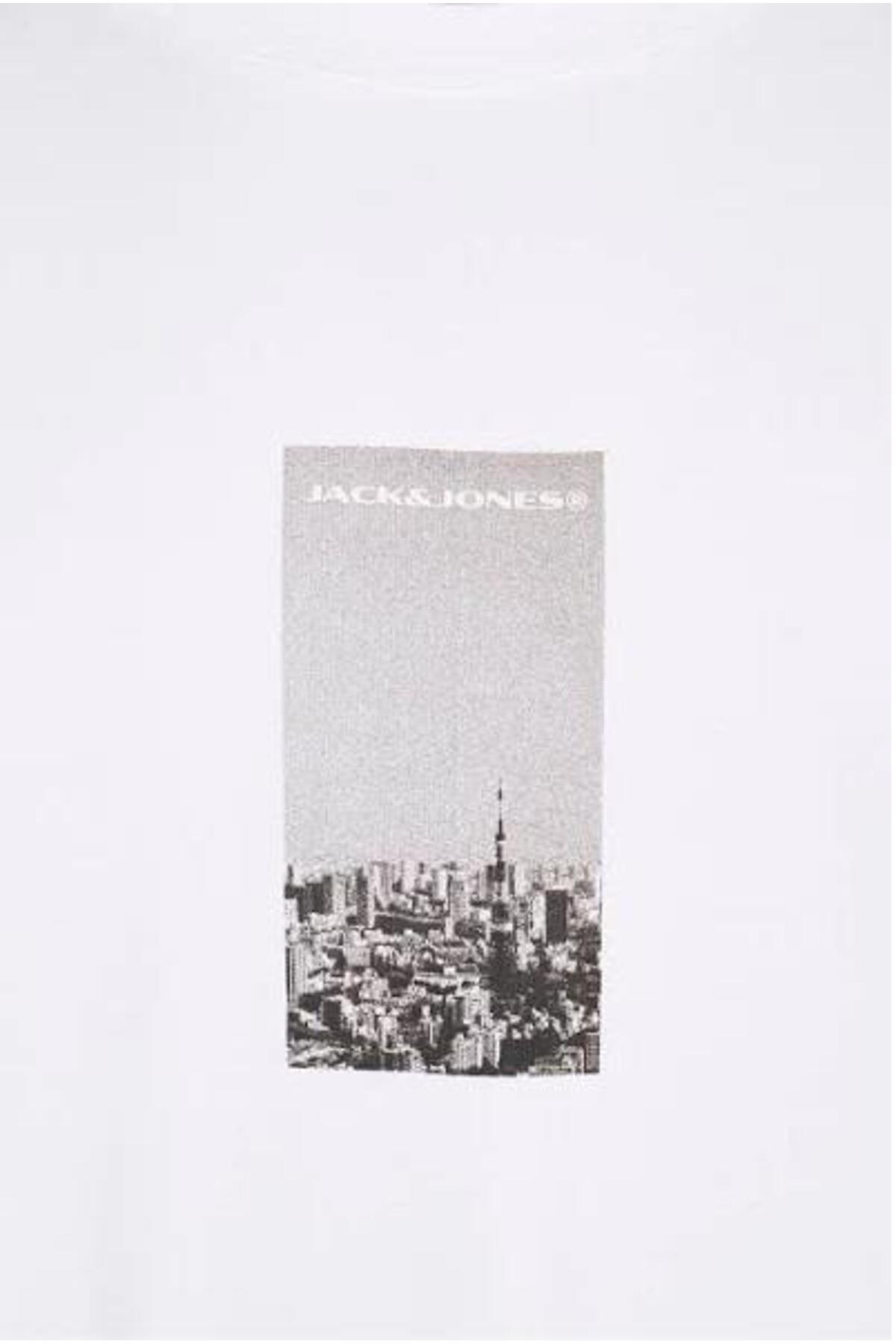 تیشرت مردانه رنگارنگ آستین کوتاه | جک اند جونز Jack & Jones 12273775 - تصویر 2