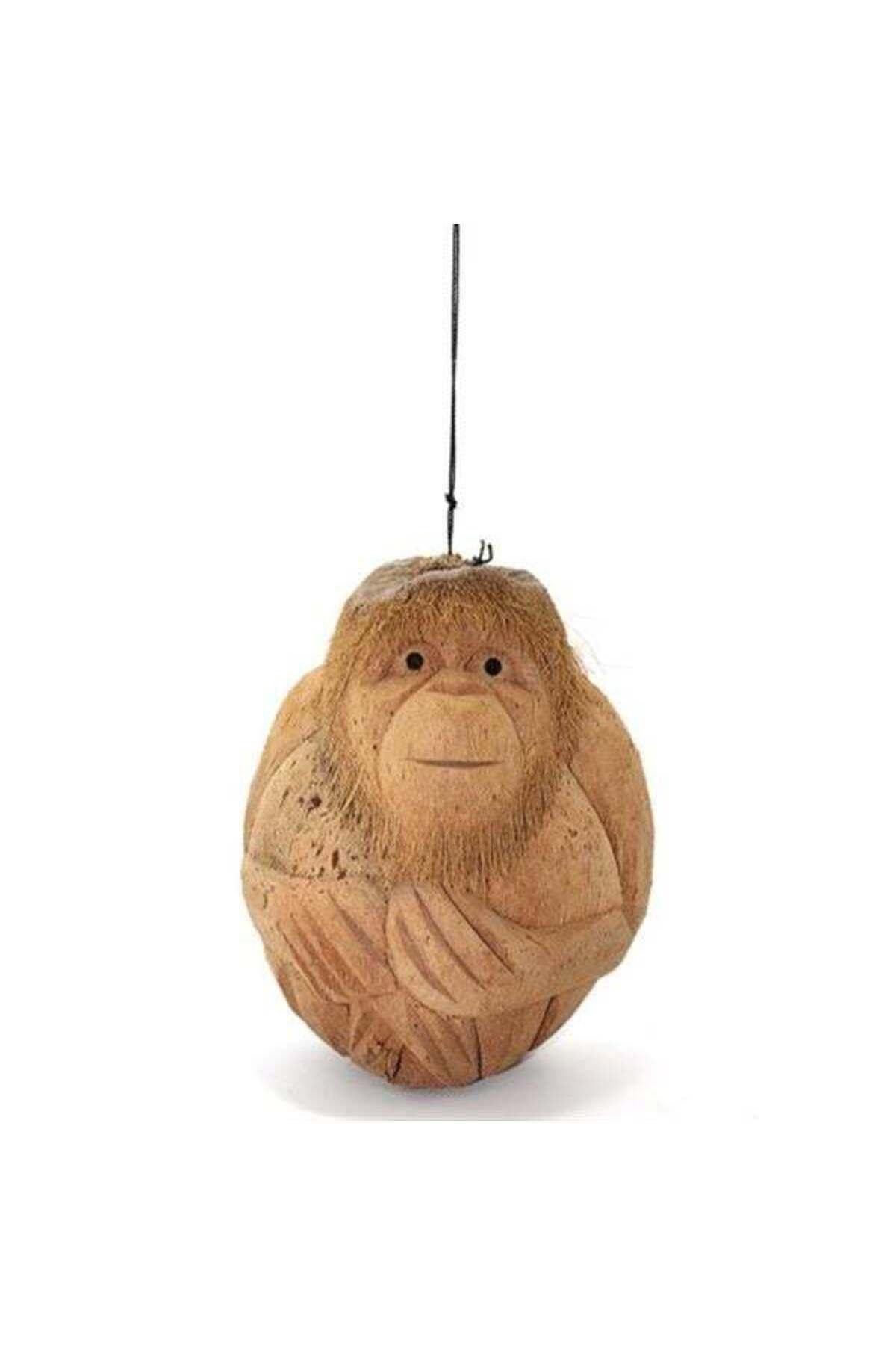 Zayla Coconat Maymun Büstü Model 1