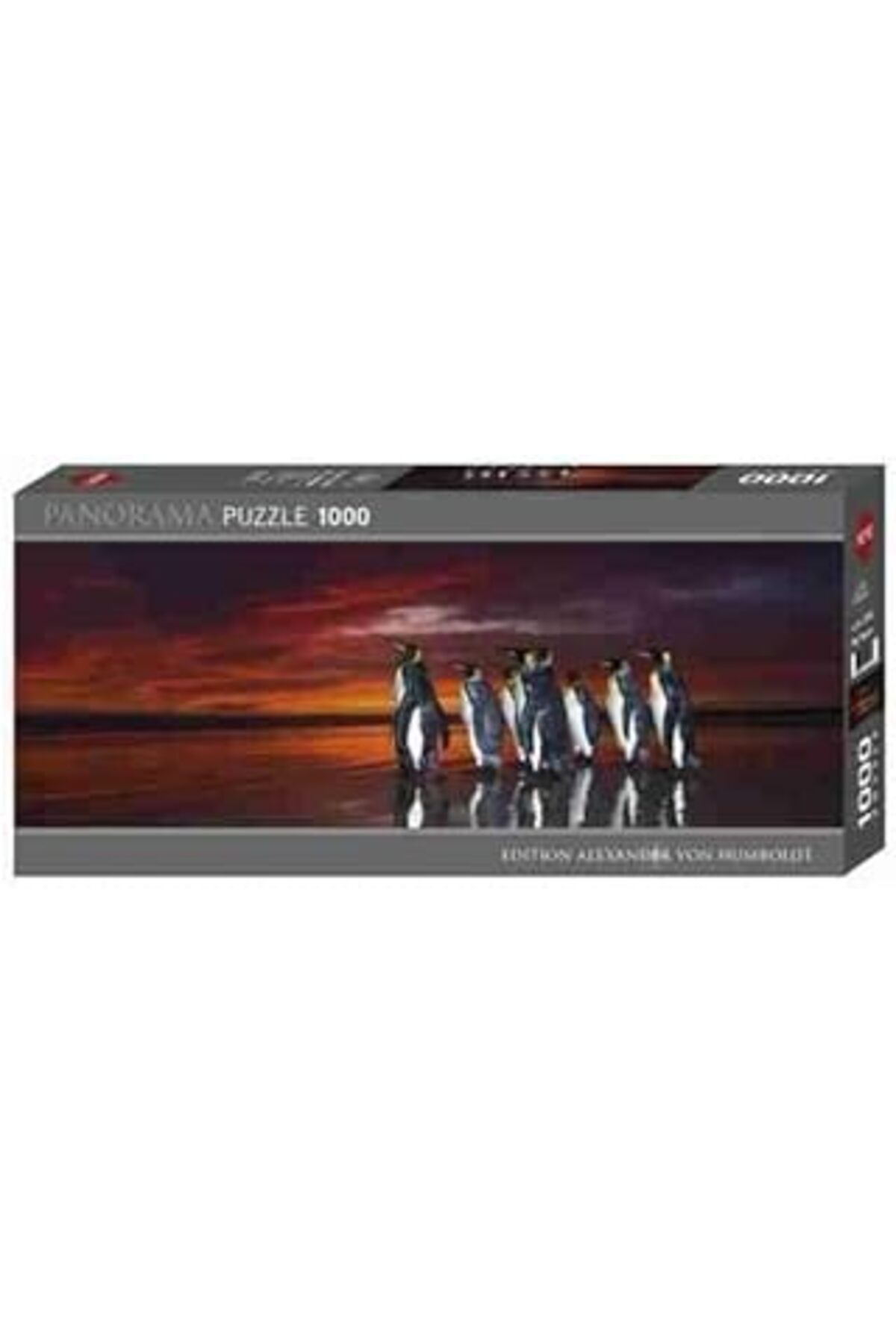 Qedii Heye 29858 Humboldt Collection Yapboz, Çok Renkli