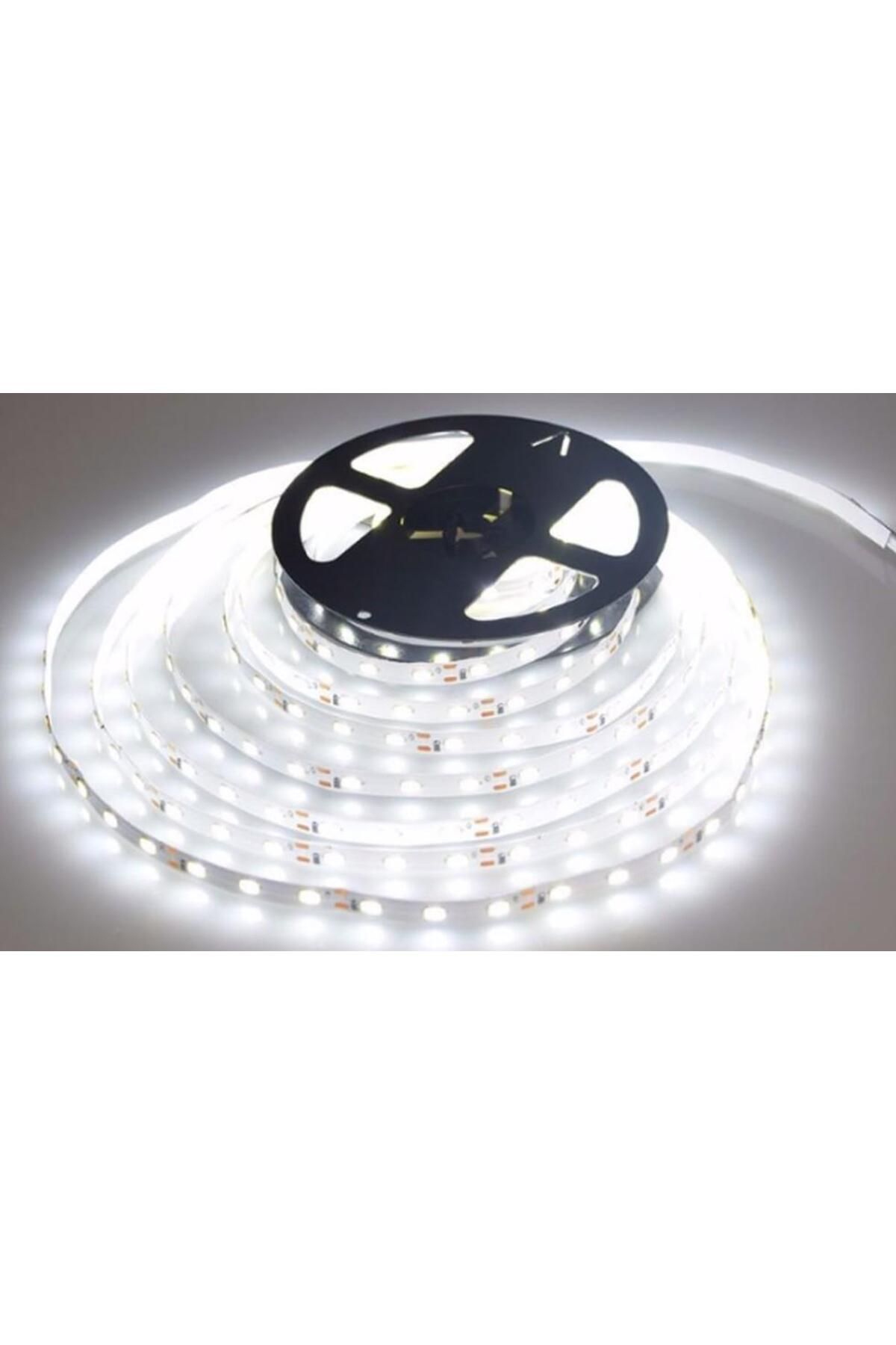 Cata 12 ÇİP İÇ MEKAN ŞERİT LED 6500K ( 12V - 16W ) DOUBLE PCB 5 METRE PAKETLİ