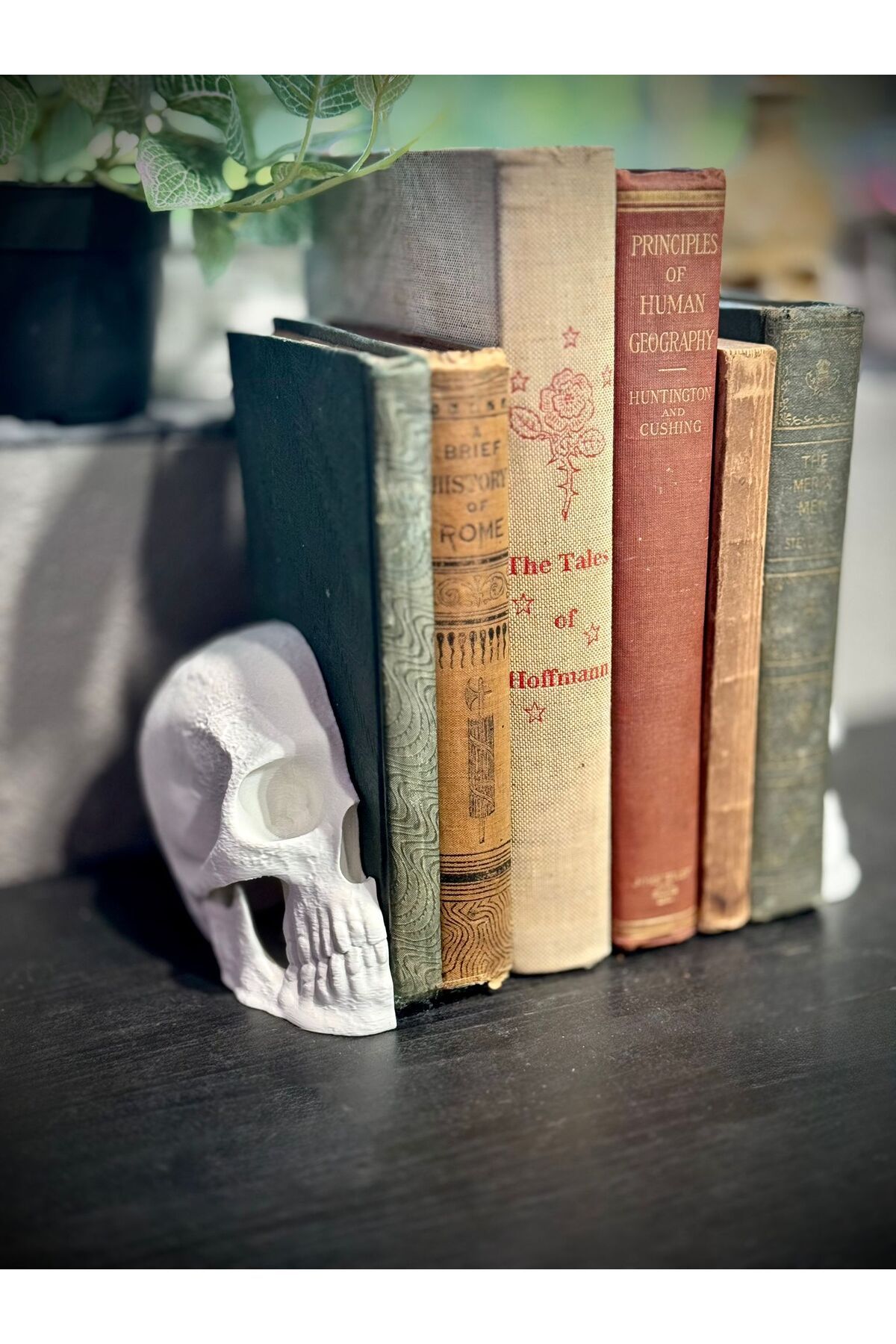 Sdesignx Kafatası Dekoratif Kitap Tutucu