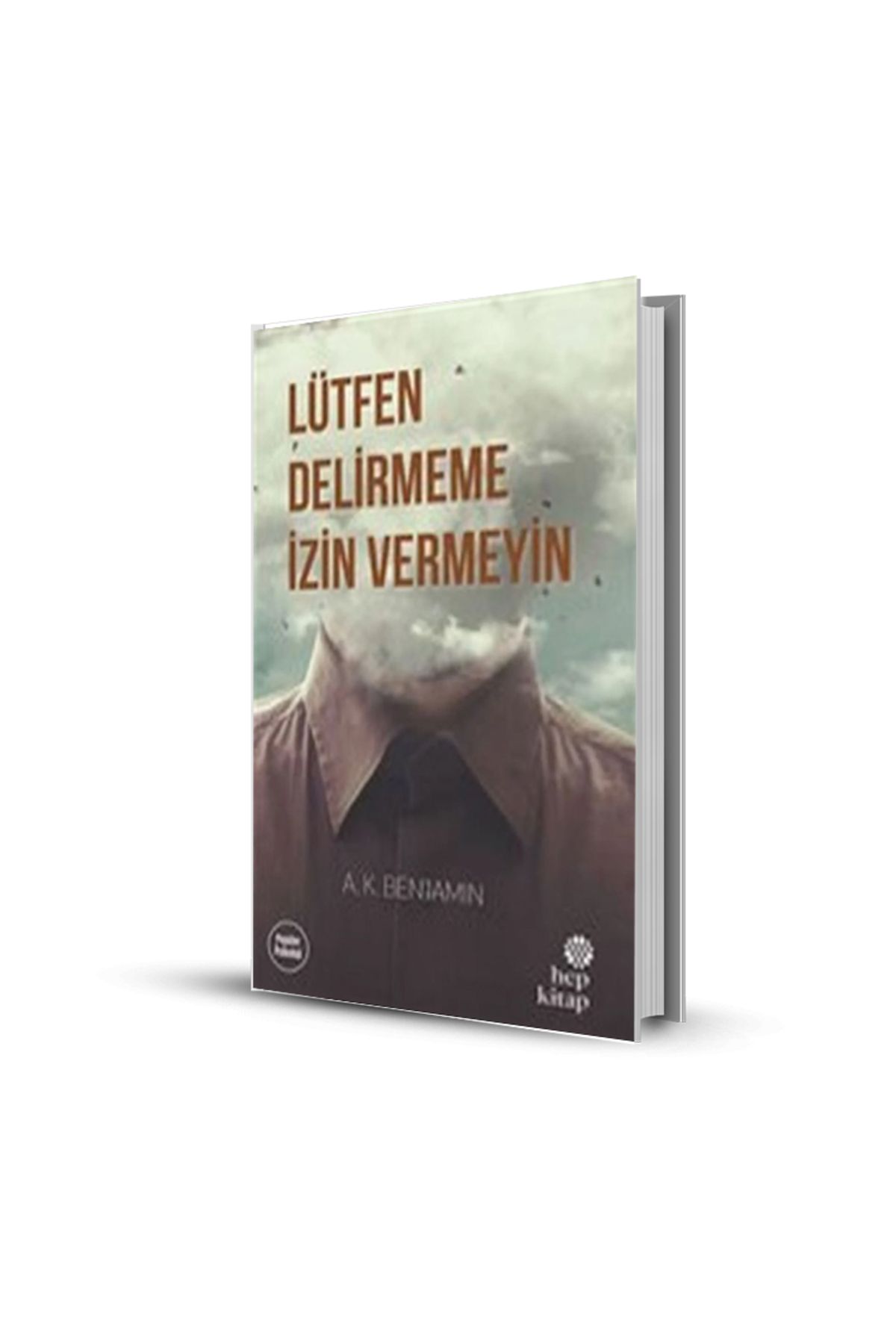 Altınpost Yayınları Lütfen Delirmeme Izin Vermeyin