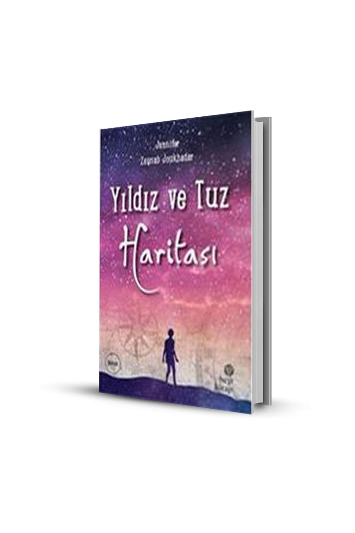 Altınpost Yayınları Yıldız ve Tuz Haritası
