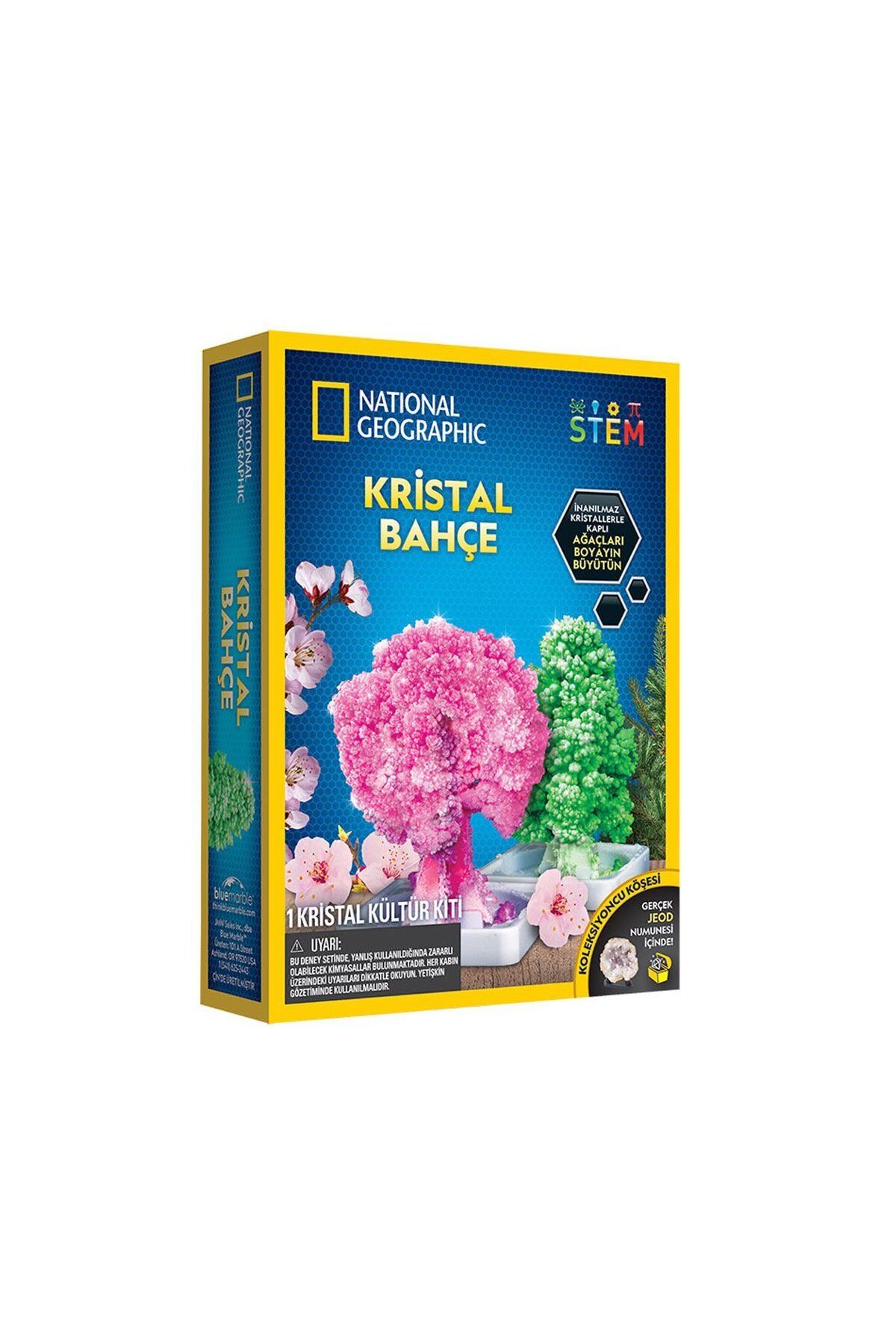 CRONDER NAT00002 Kristal Bahçe Kiti - TRCRYSGRDN +8 yaş