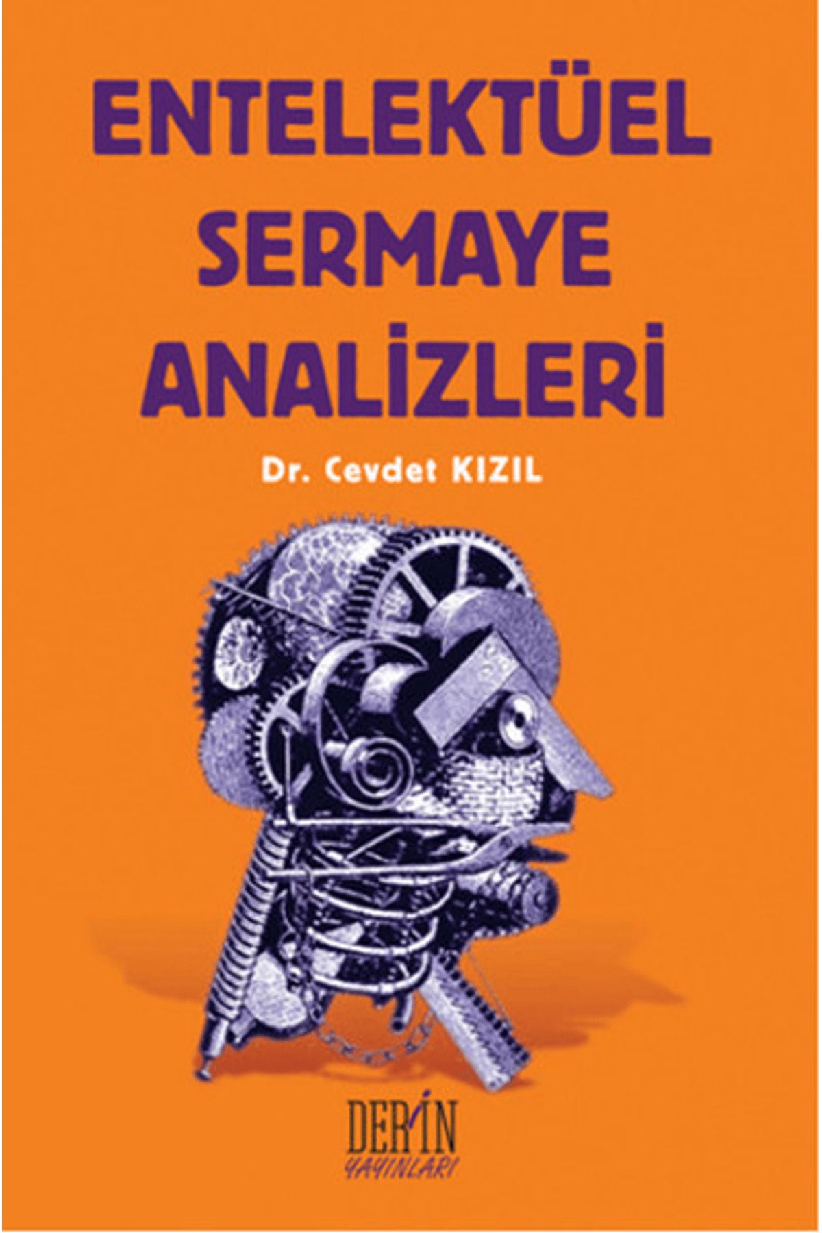 Derin Yayınları Entelektüel Sermaye Analizleri